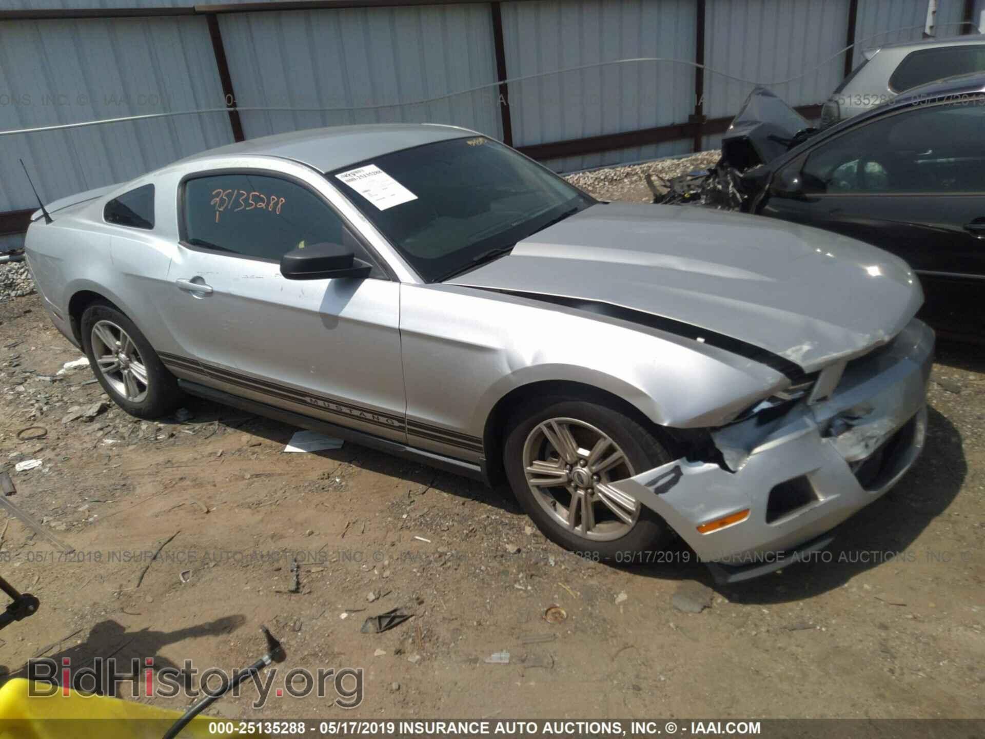Фотография 1ZVBP8AM8B5144502 - FORD MUSTANG 2011