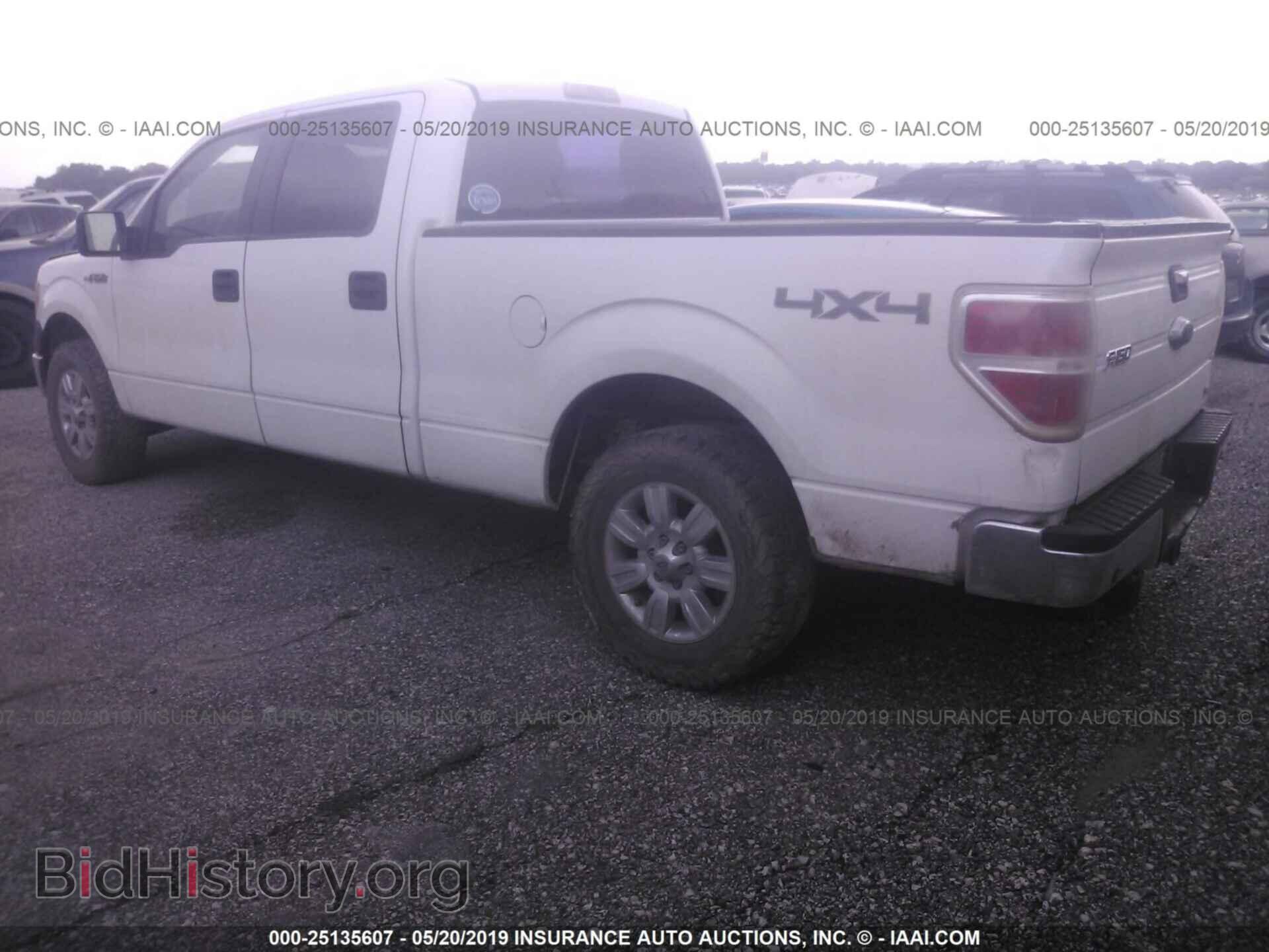 2010 FORD F150 - VIN: 1FTFW1E87AFB17828 - Фото 3