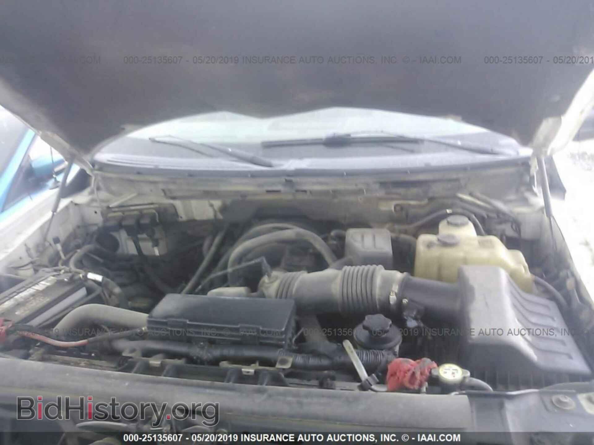 2010 FORD F150 - VIN: 1FTFW1E87AFB17828 - Фото 10