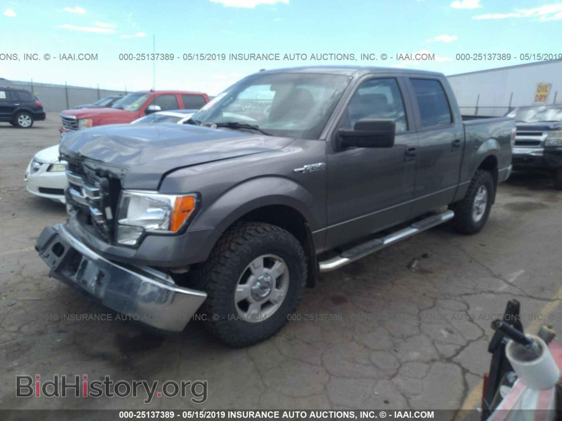 2013 FORD F150 - VIN: 1FTFW1EF9DFD43176 - Фото 2