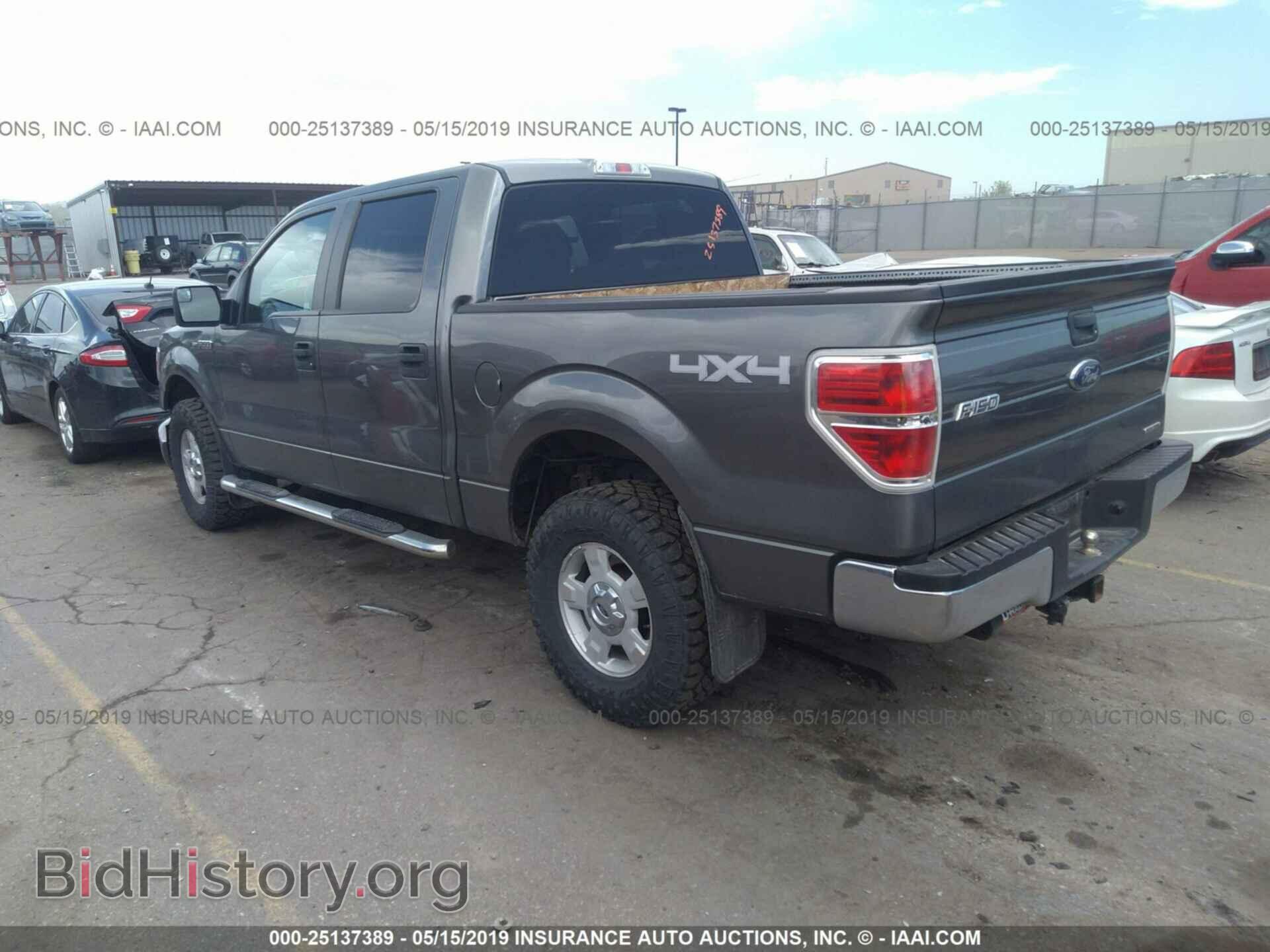 2013 FORD F150 - VIN: 1FTFW1EF9DFD43176 - Фото 3