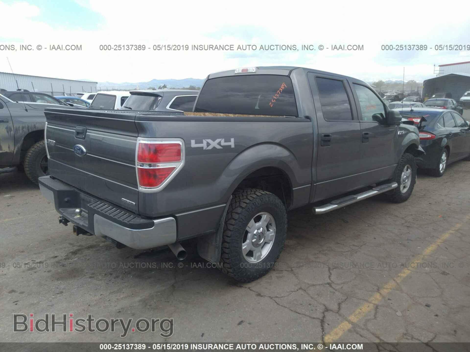 2013 FORD F150 - VIN: 1FTFW1EF9DFD43176 - Фото 4