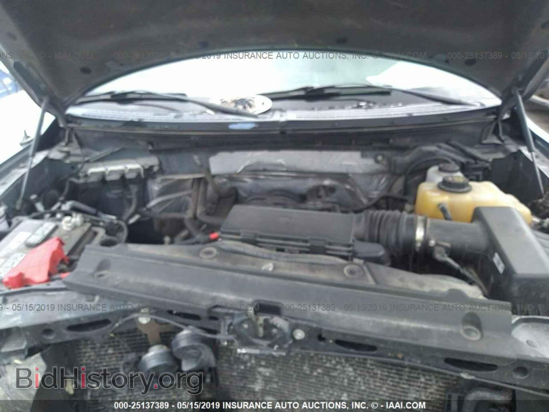 2013 FORD F150 - VIN: 1FTFW1EF9DFD43176 - Фото 10
