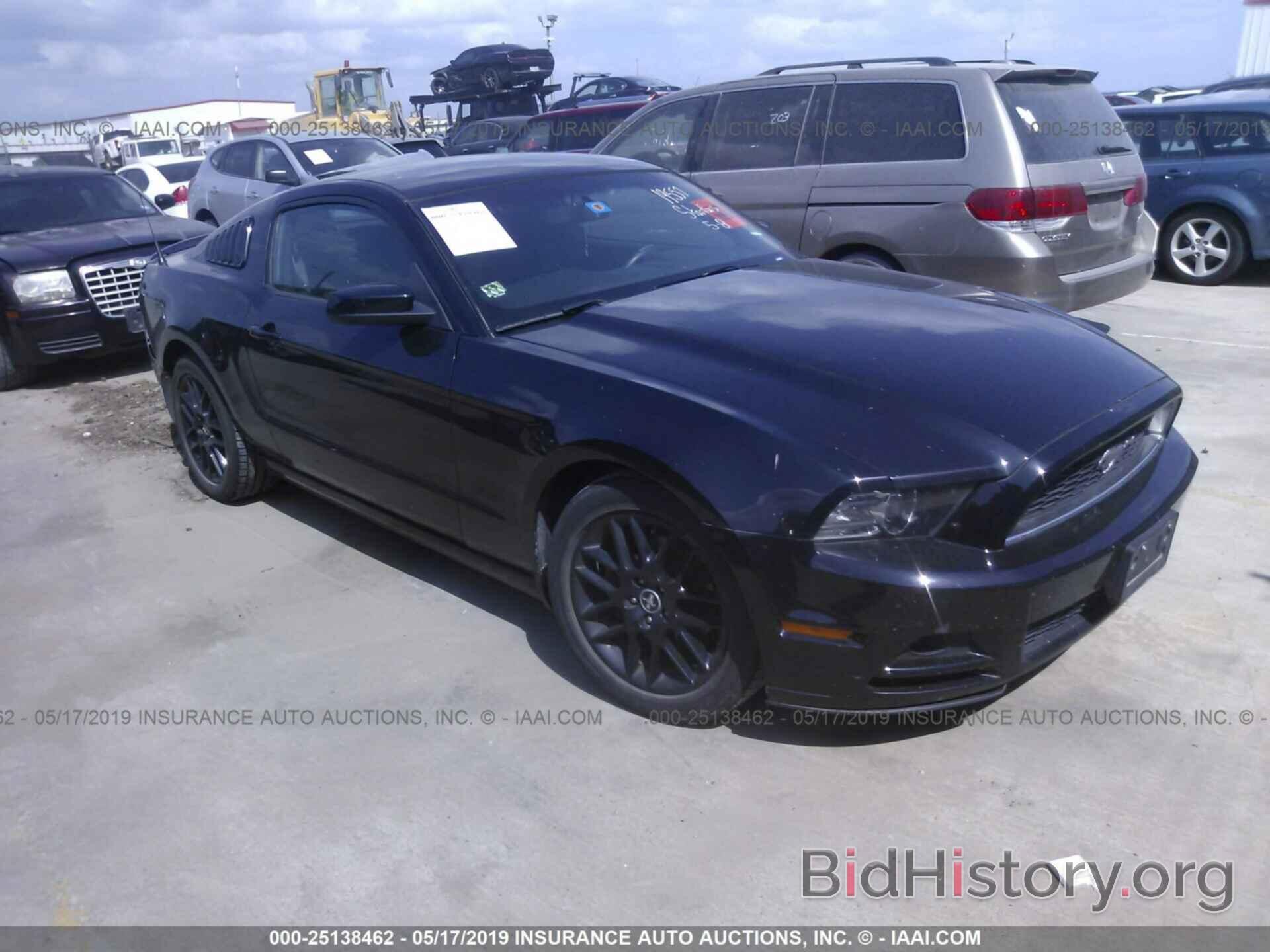 Photo 1ZVBP8AM2E5315992 - FORD MUSTANG 2014