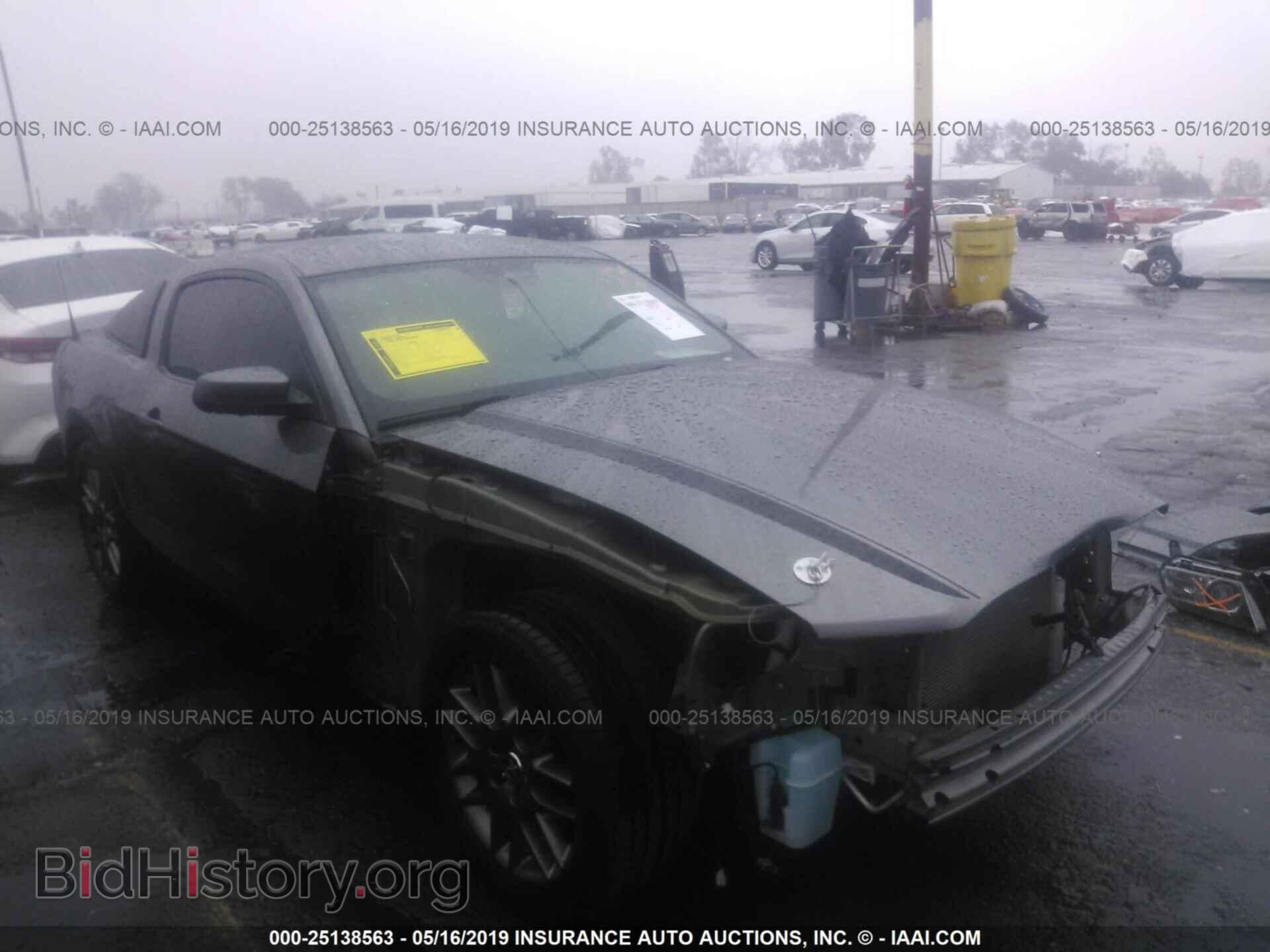 Photo 1ZVBP8AM4E5327531 - FORD MUSTANG 2014