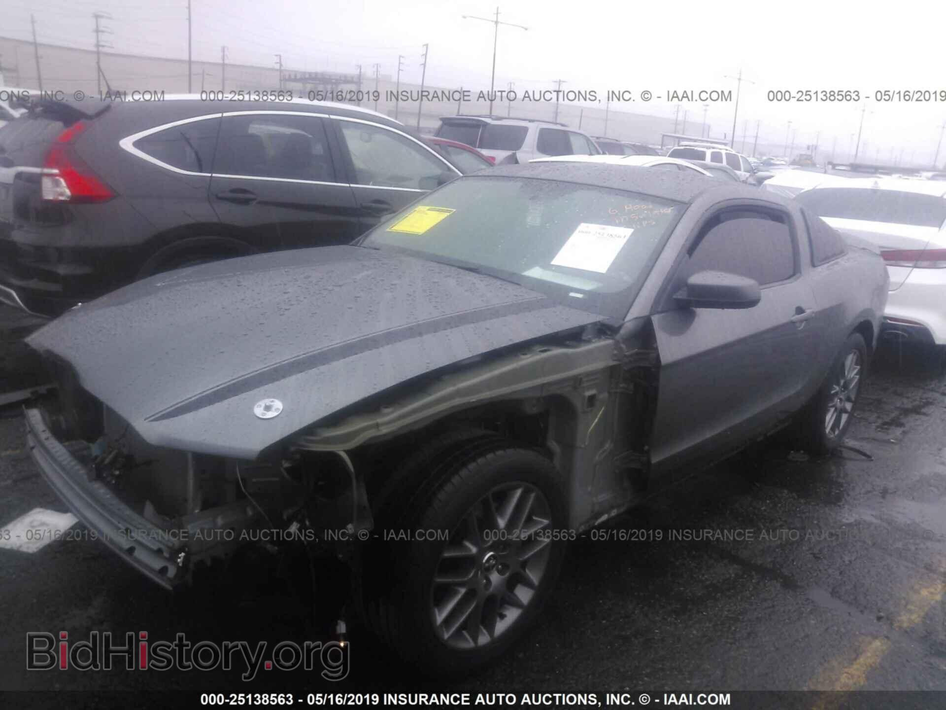 2014 FORD MUSTANG - VIN: 1ZVBP8AM4E5327531 - Фото 2
