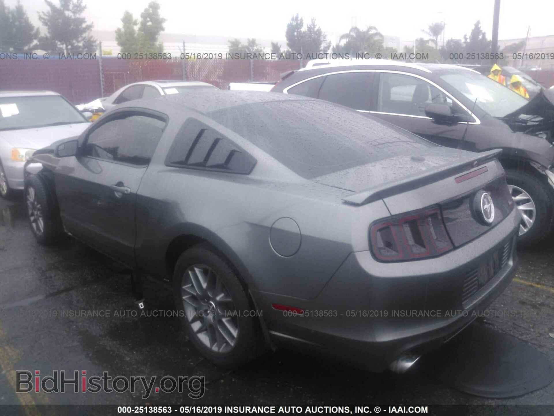 2014 FORD MUSTANG - VIN: 1ZVBP8AM4E5327531 - Фото 3