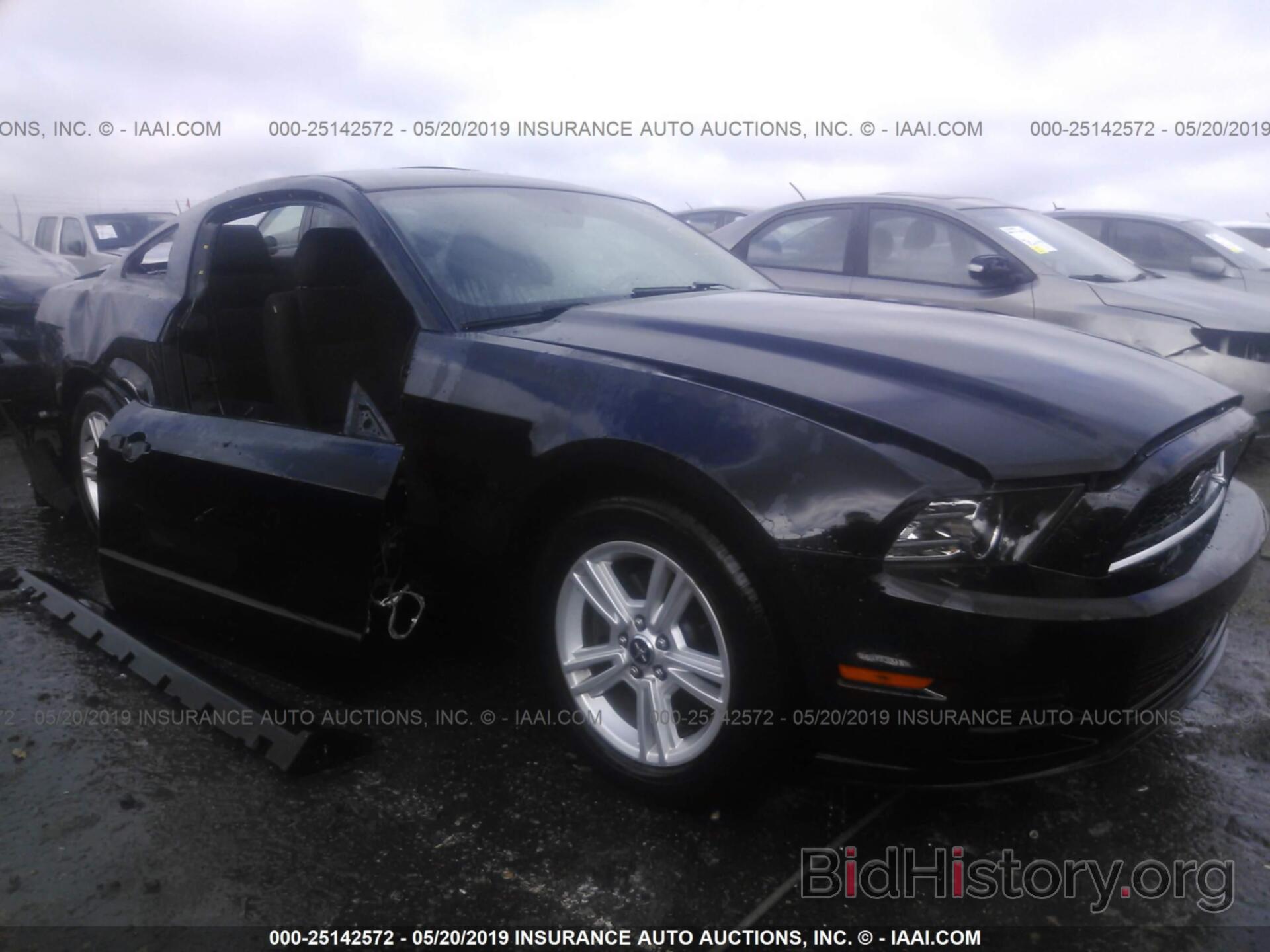 Photo 1ZVBP8AM9D5258219 - FORD MUSTANG 2013