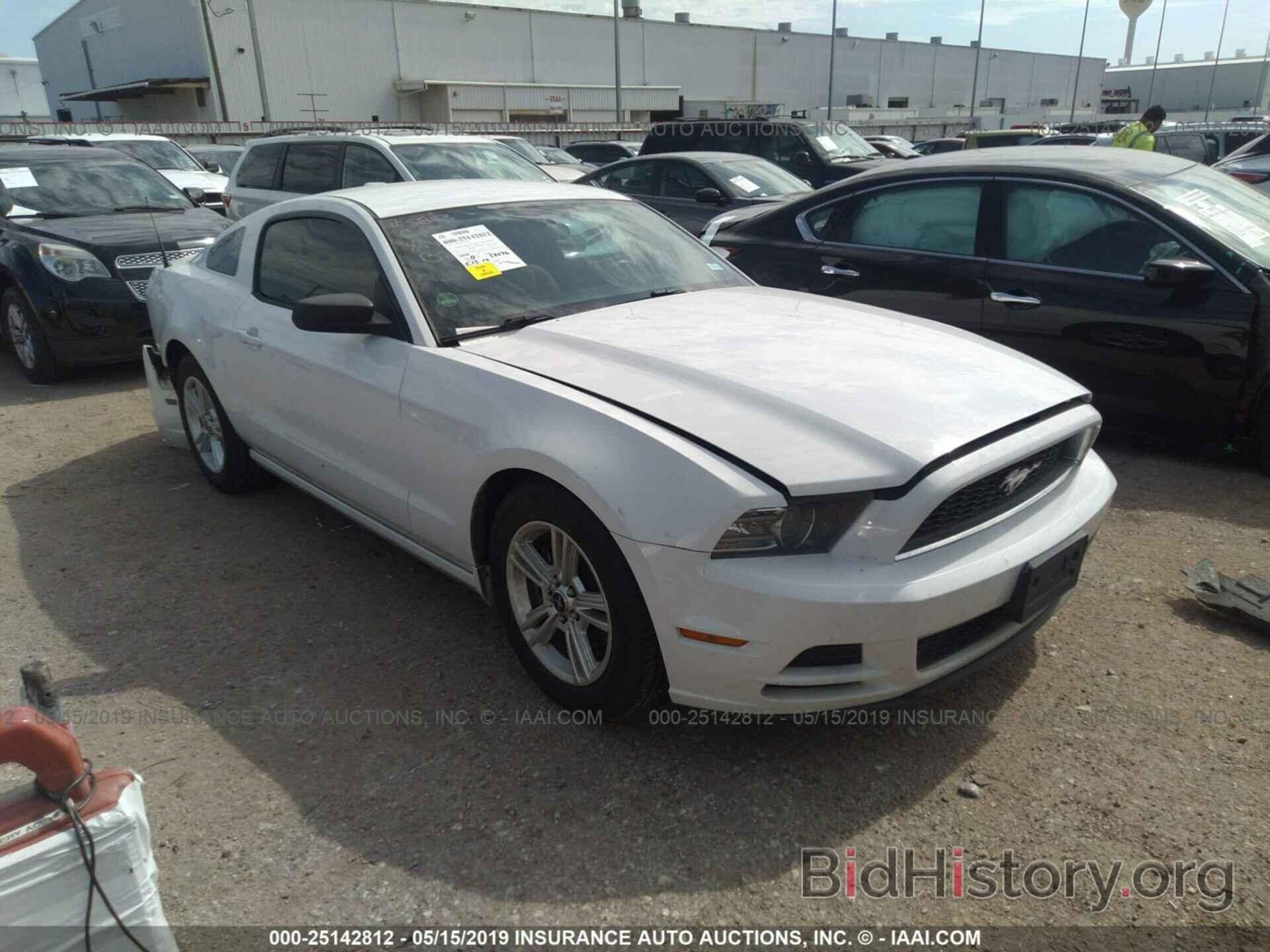 Photo 1ZVBP8AM5E5256985 - FORD MUSTANG 2014