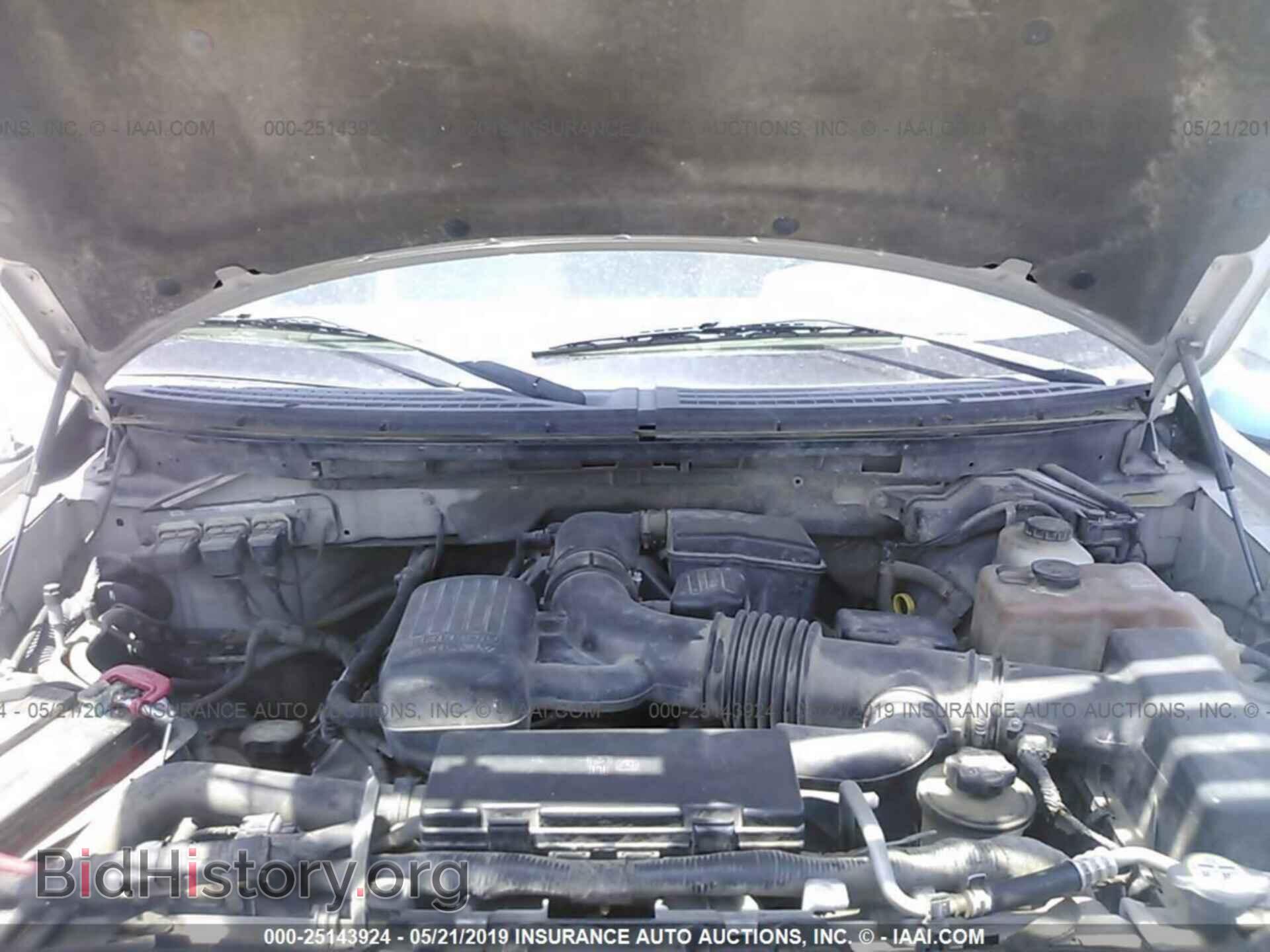 2010 FORD F150 - VIN: 1FTFW1EV7AFD25049 - Фото 10