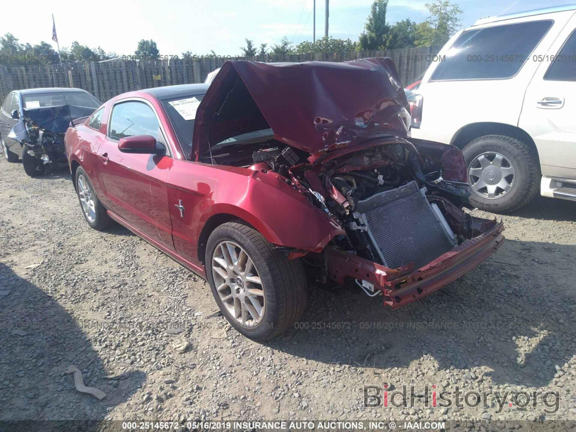 Photo 1ZVBP8AM3E5251400 - FORD MUSTANG 2014