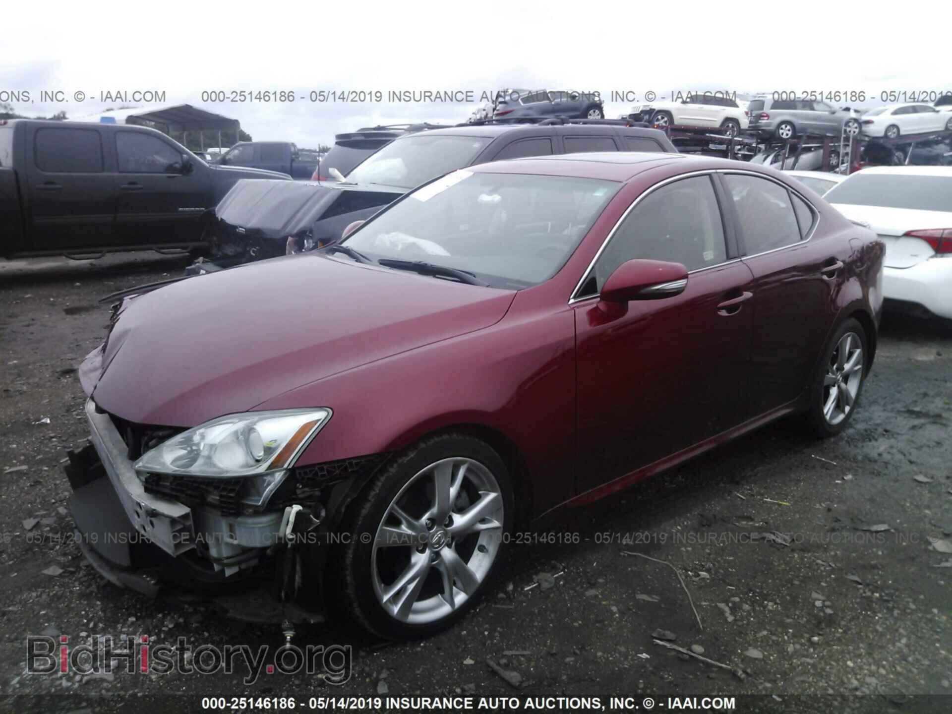 2010 LEXUS IS - VIN: JTHBF5C29A2098144 - Фото 2