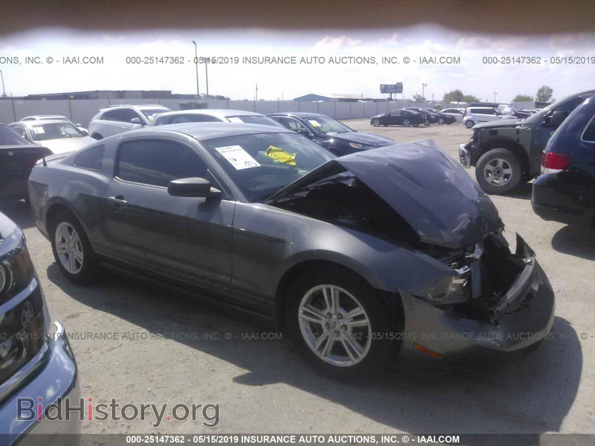 Фотография 1ZVBP8AM6B5165123 - FORD MUSTANG 2011
