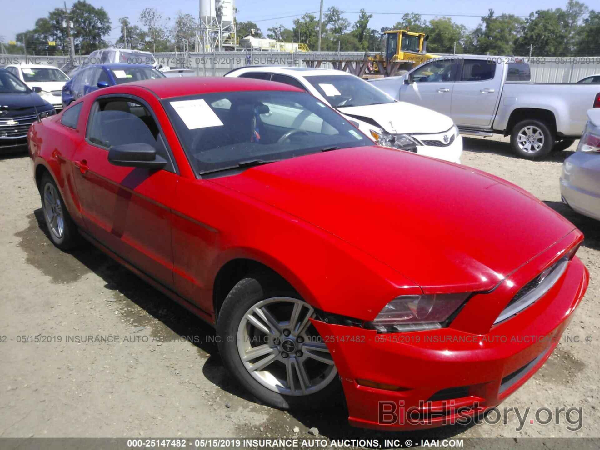 Photo 1ZVBP8AM4E5330607 - FORD MUSTANG 2014