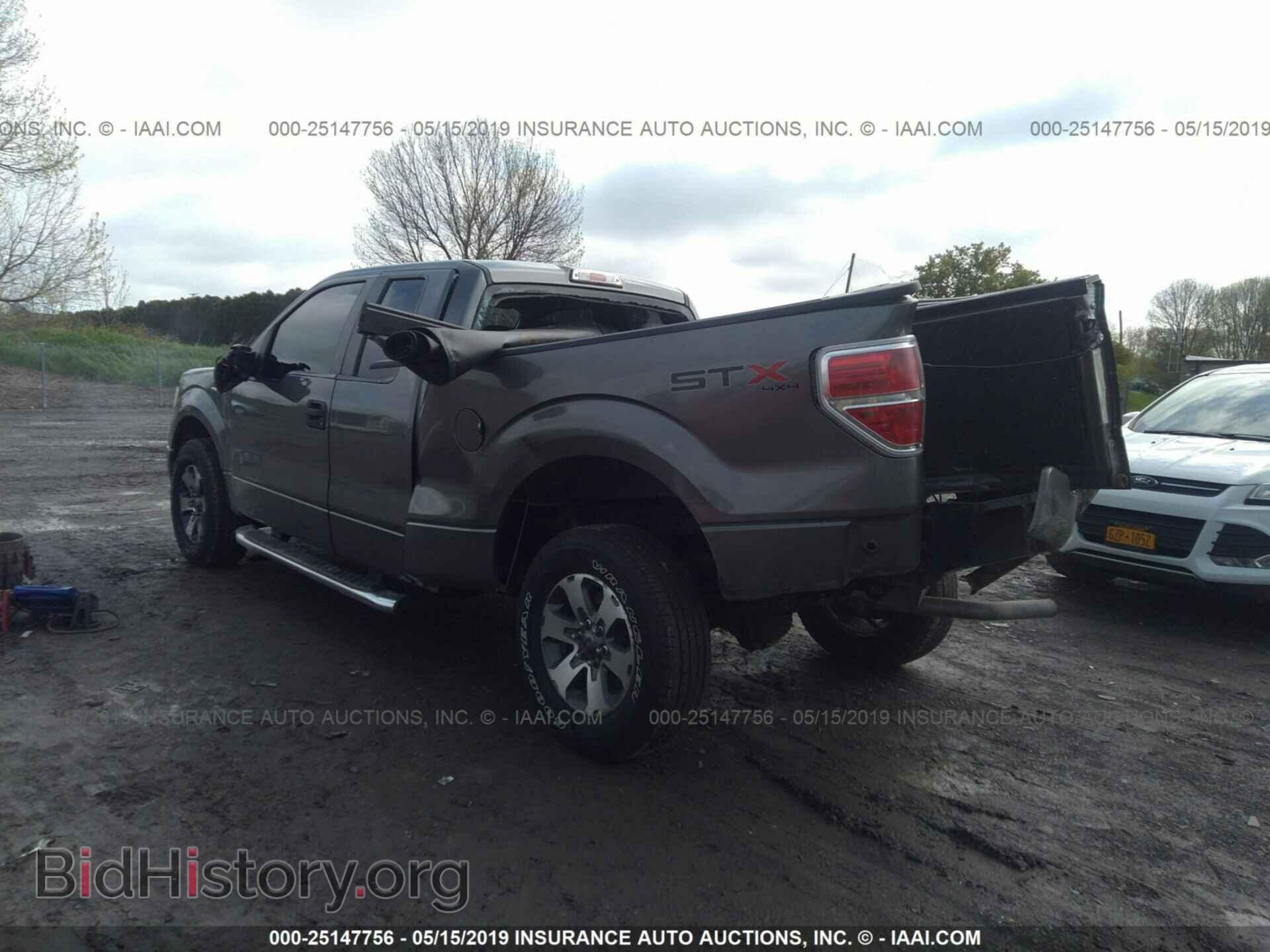2013 FORD F150 - VIN: 1FTFX1EF1DFD88268 - Фото 3