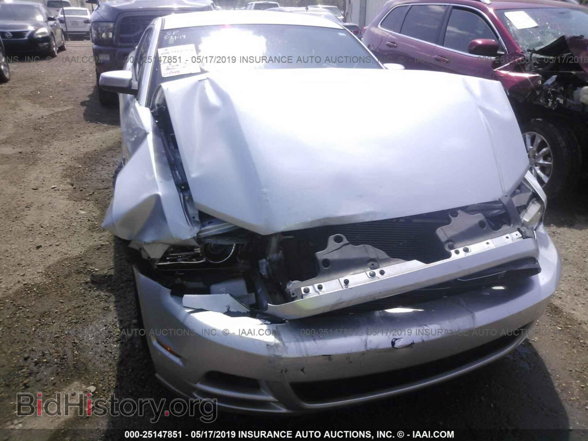 2013 FORD MUSTANG - VIN: 1ZVBP8AM4D5248875 - Фото 6