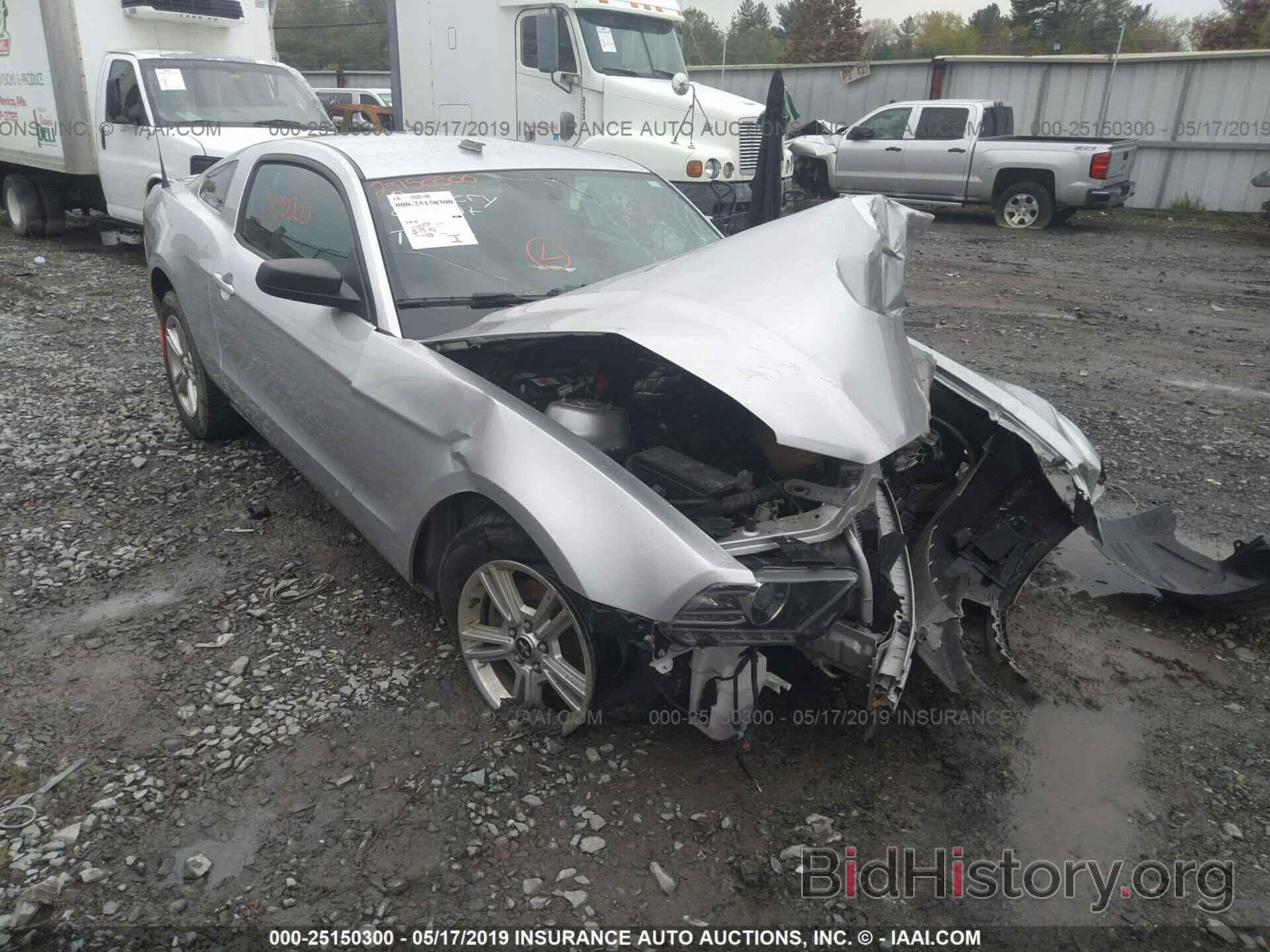 Photo 1ZVBP8AM6E5314067 - FORD MUSTANG 2014