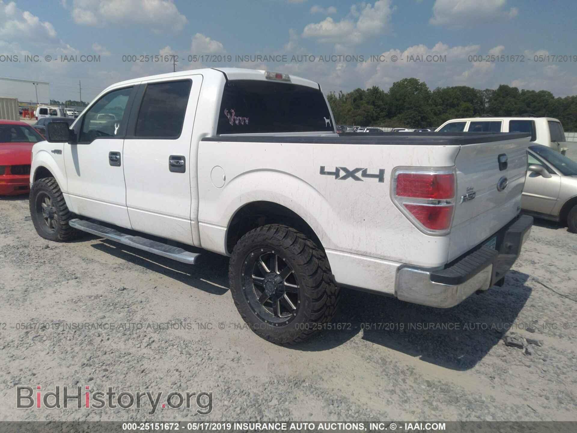 2010 FORD F150 - VIN: 1FTFW1EV1AFB29415 - Фото 3