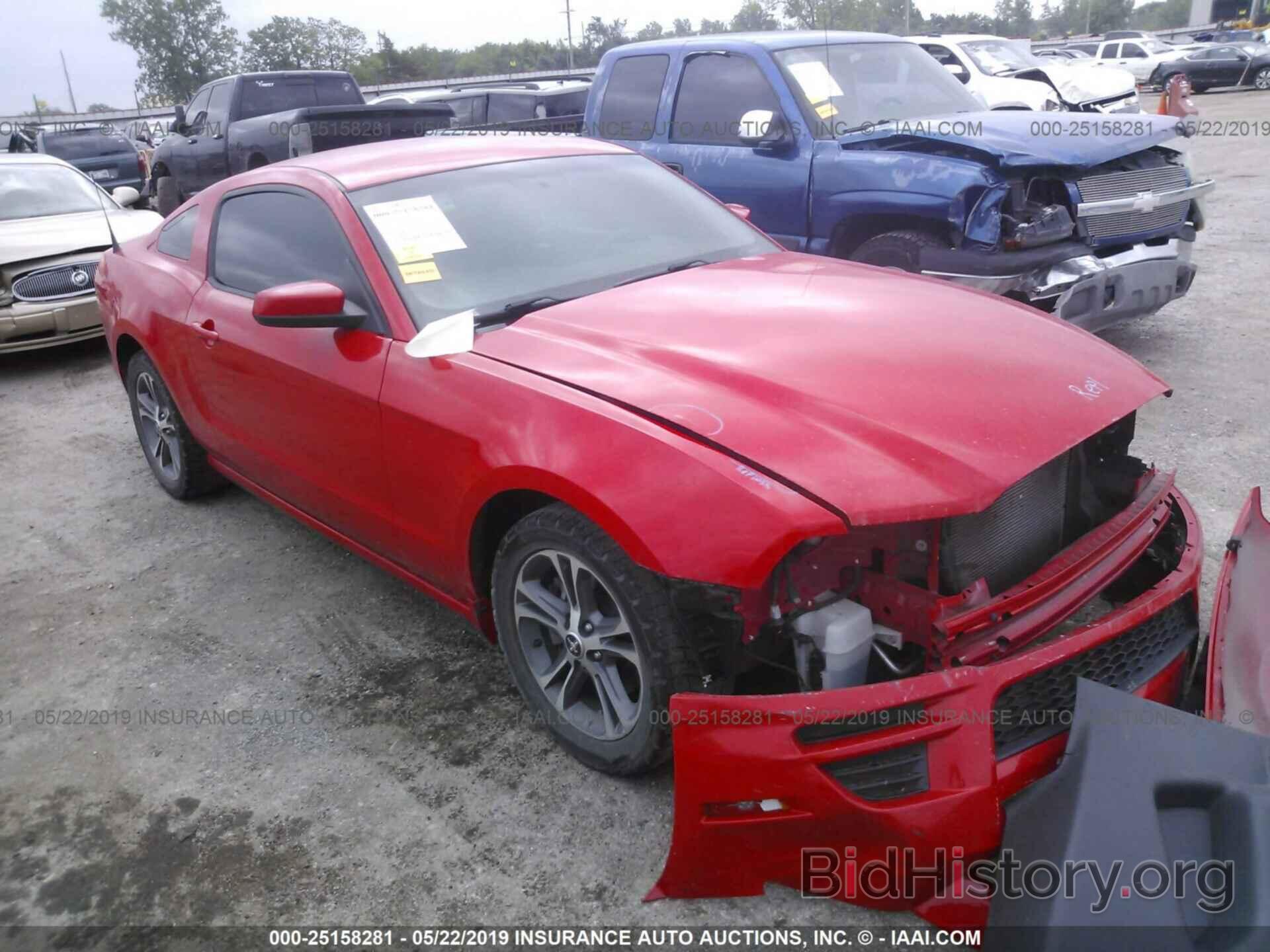 Photo 1ZVBP8AM0E5304683 - FORD MUSTANG 2014