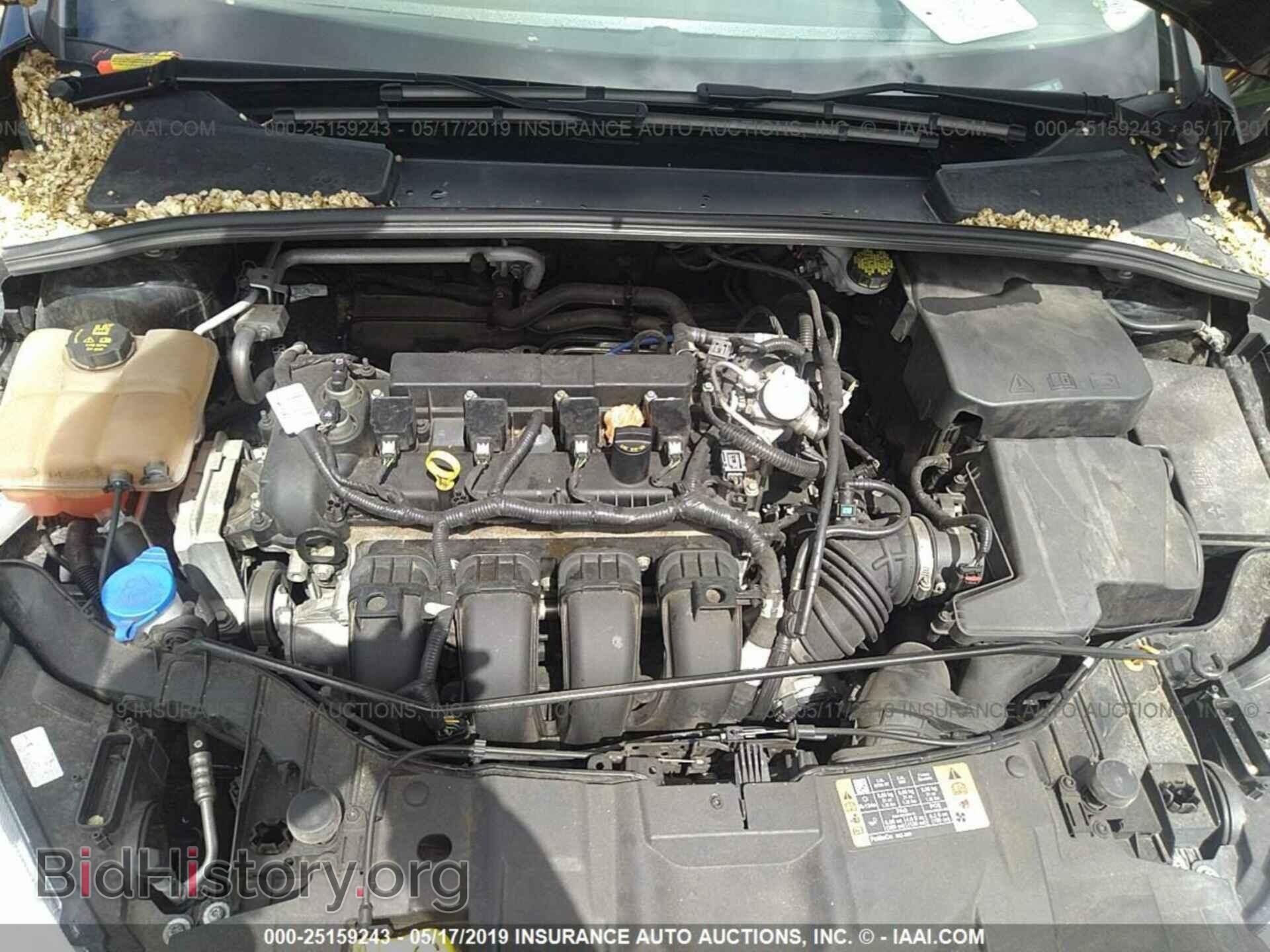 2016 FORD FOCUS - VIN: 1FADP3E26GL384020 - Фото 10