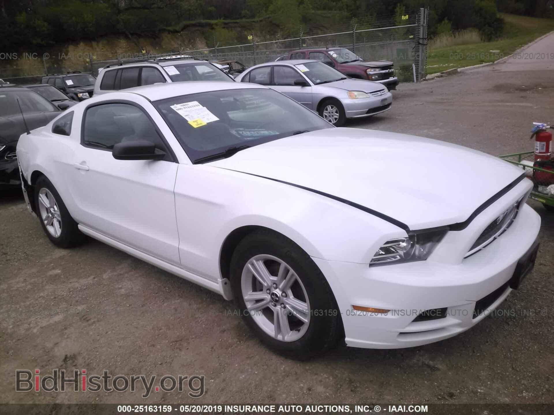 Фотография 1ZVBP8AM2E5245085 - FORD MUSTANG 2014