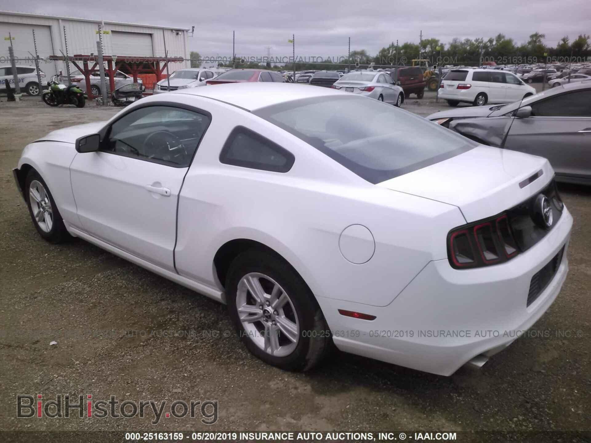 2014 FORD MUSTANG - VIN: 1ZVBP8AM2E5245085 - Фото 3