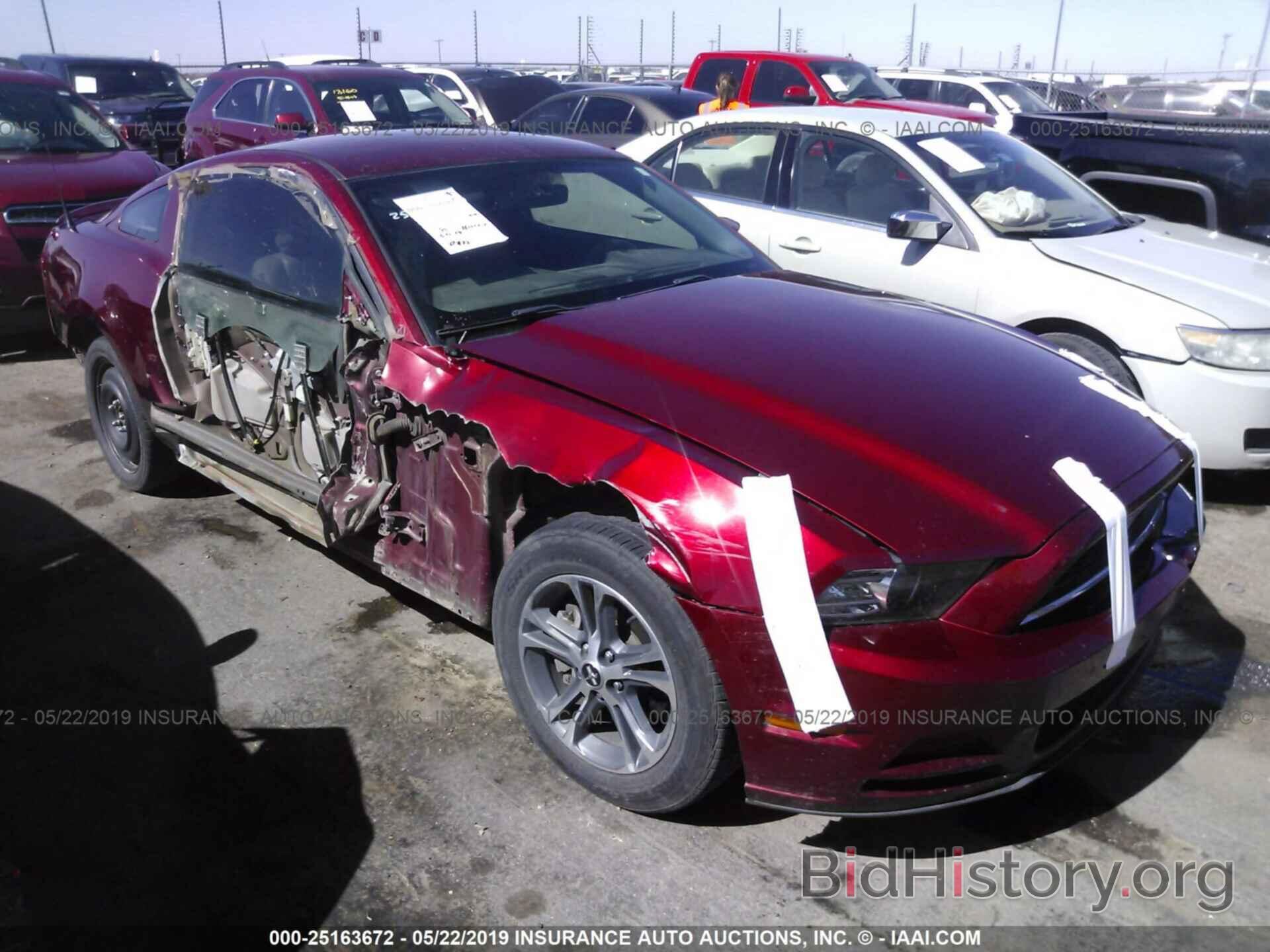 Photo 1ZVBP8AM8E5236410 - FORD MUSTANG 2014