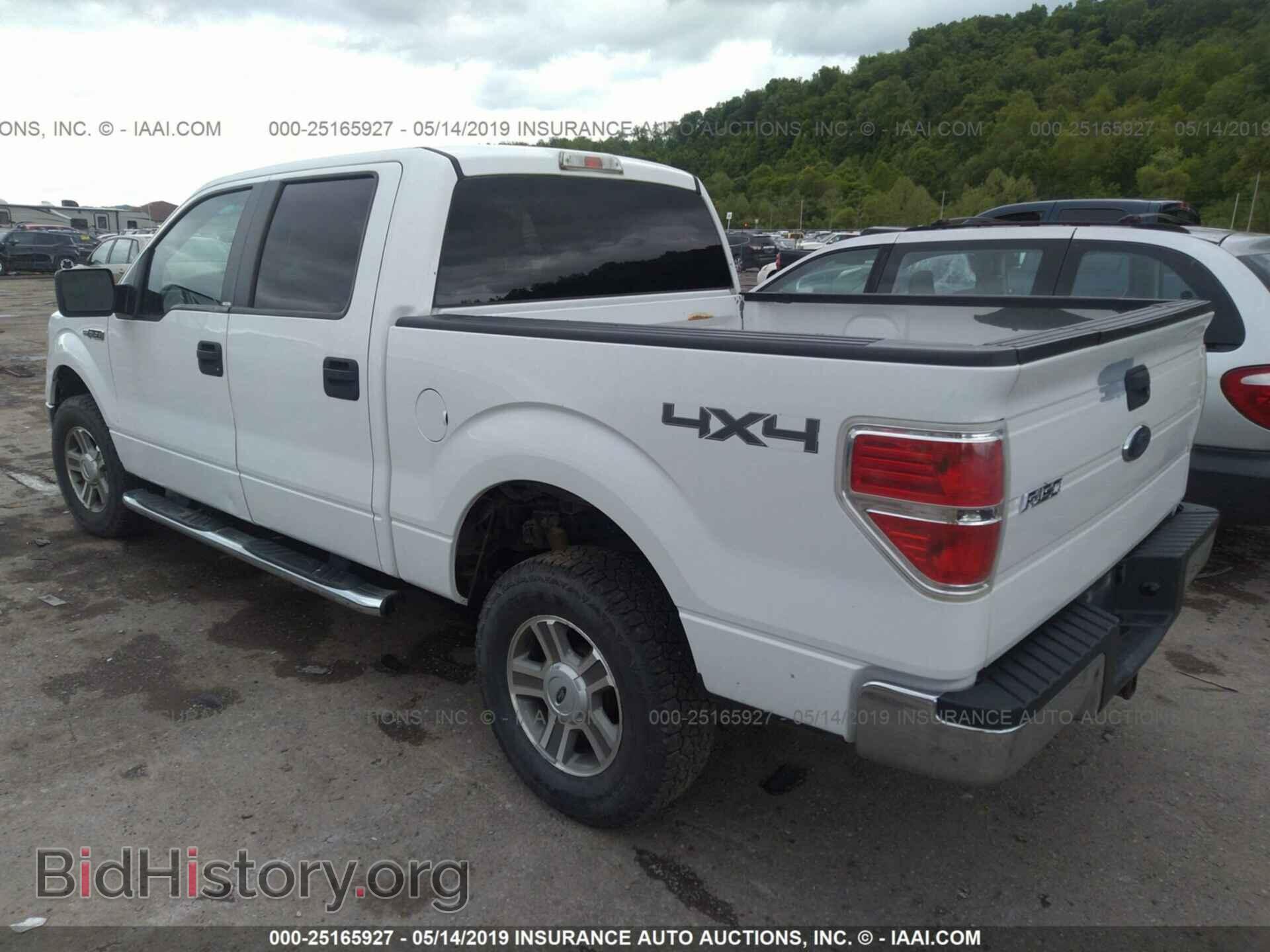 2010 FORD F150 - VIN: 1FTFW1EV3AKE81712 - Фото 3