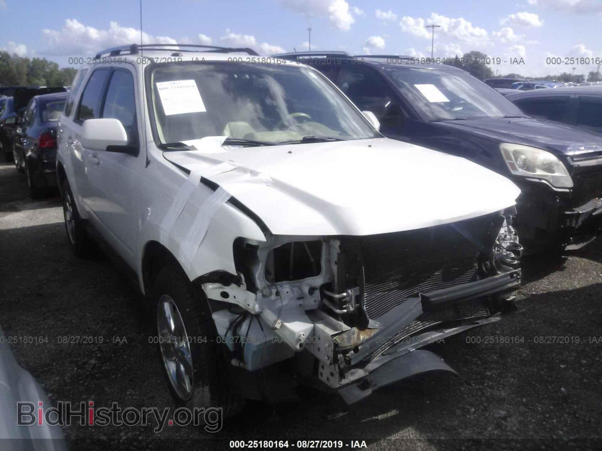 Photo 1FMCU0E76BKC36582 - FORD ESCAPE 2011