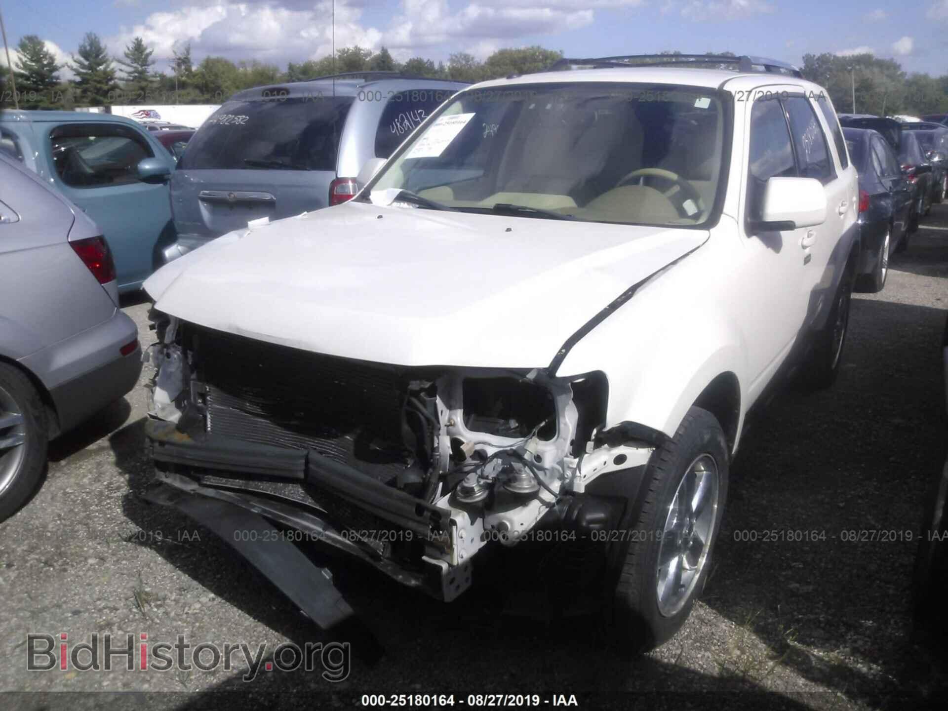 2011 FORD ESCAPE - VIN: 1FMCU0E76BKC36582 - Фото 2