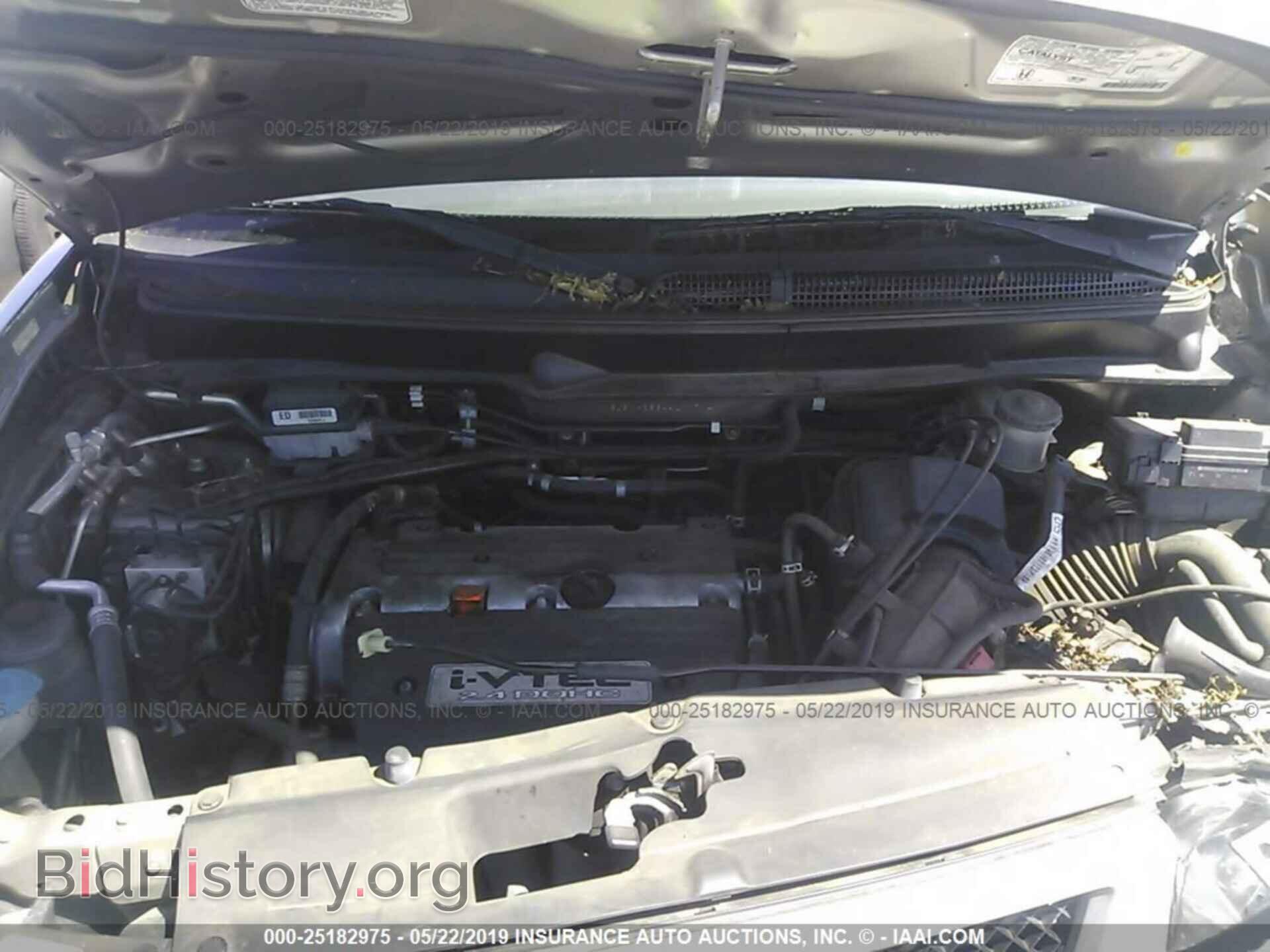 2004 HONDA ELEMENT - VIN: 5J6YH28644L017141 - Фото 10