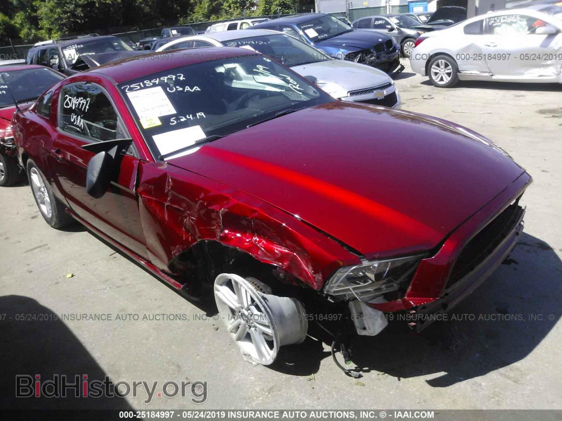 Фотография 1ZVBP8AM4E5214646 - FORD MUSTANG 2014