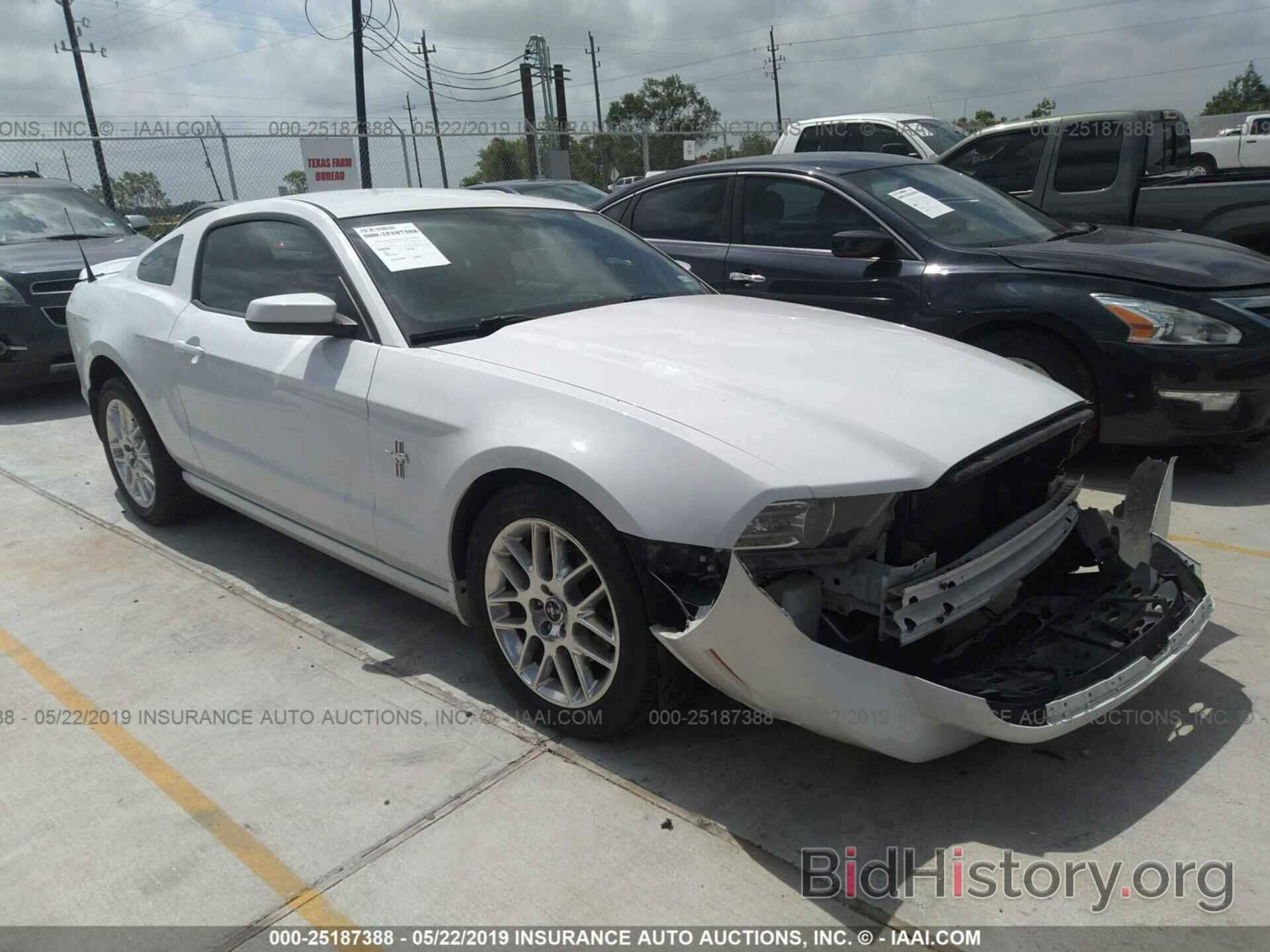 Photo 1ZVBP8AM6E5254534 - FORD MUSTANG 2014