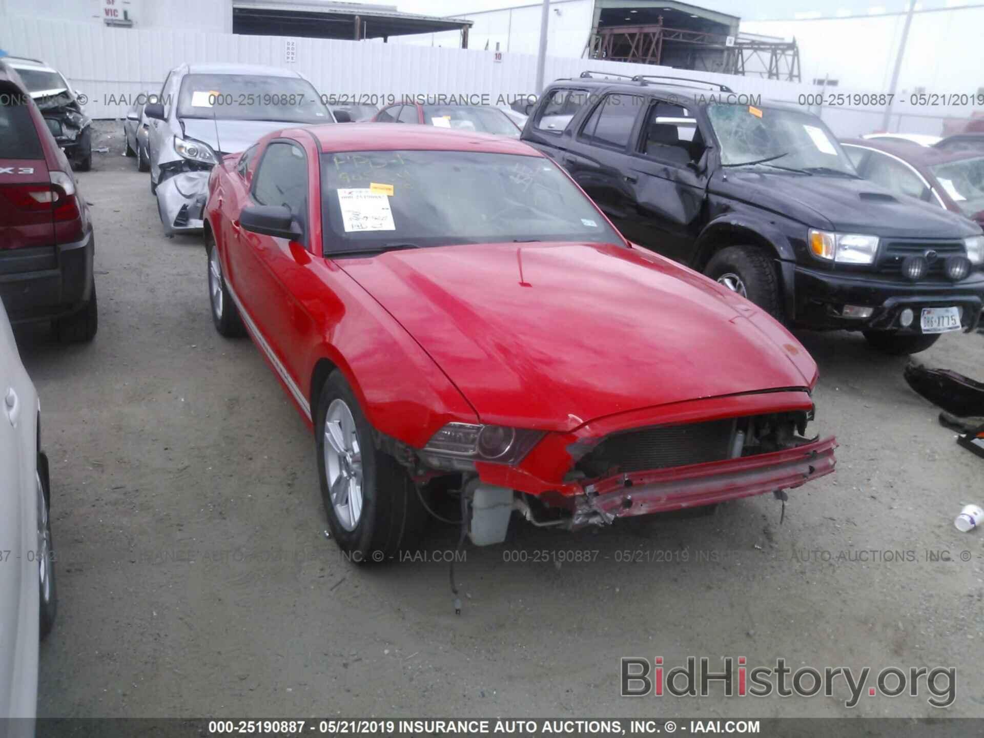 Photo 1ZVBP8AMXD5211670 - FORD MUSTANG 2013