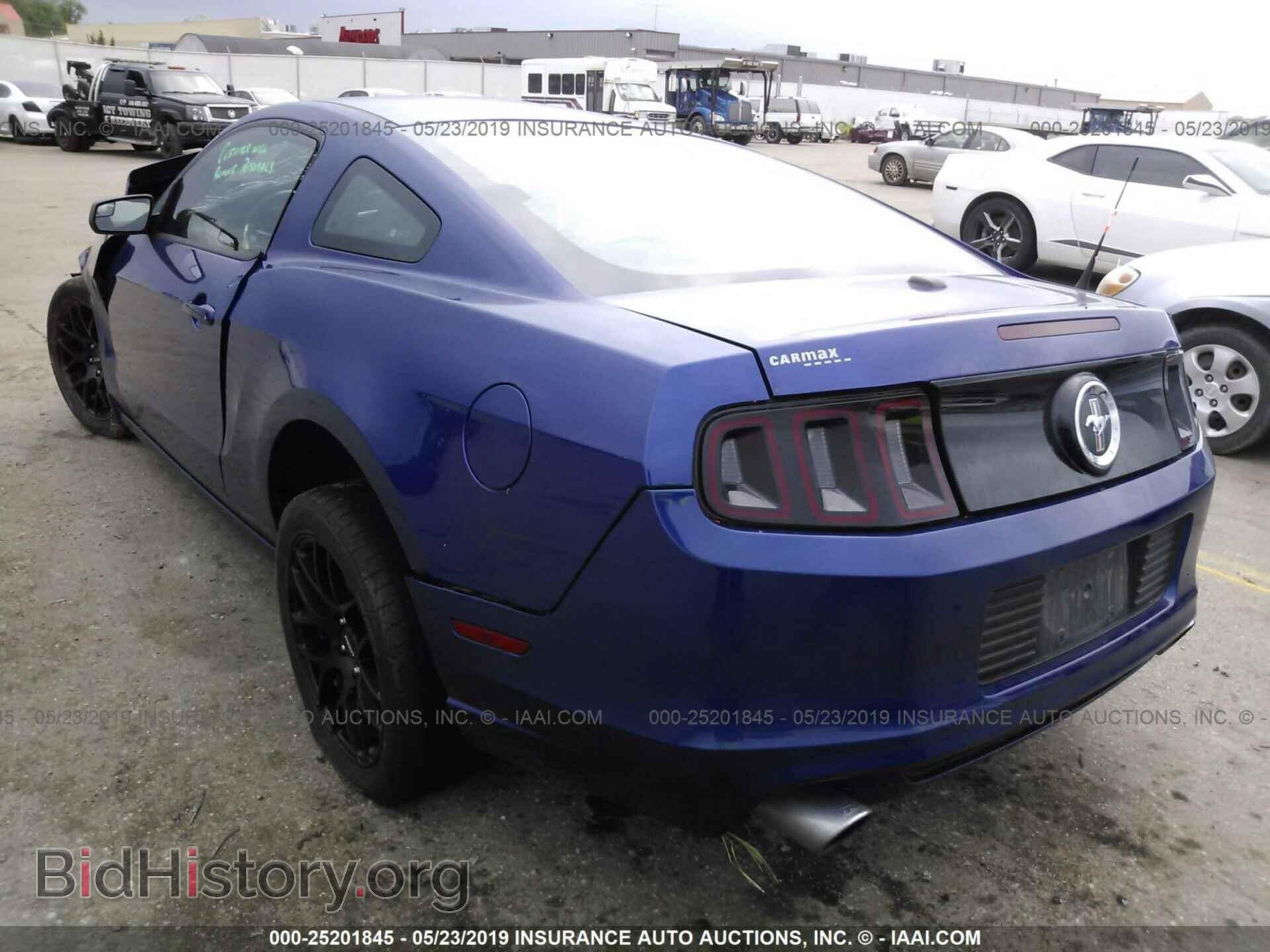 2013 FORD MUSTANG - VIN: 1ZVBP8AM9D5205004 - Фото 3