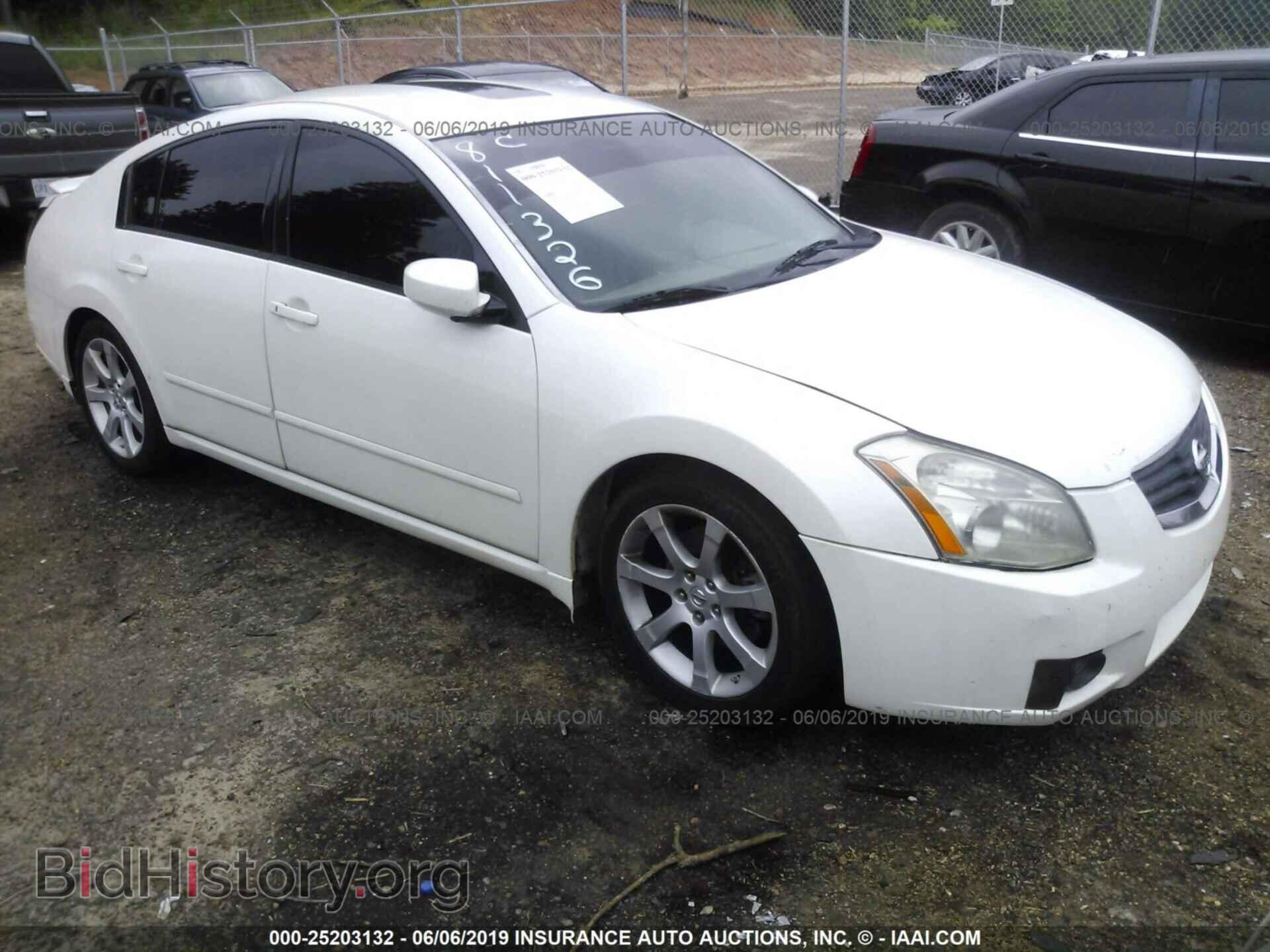 Photo 1N4BA41E88C811326 - NISSAN MAXIMA 2008