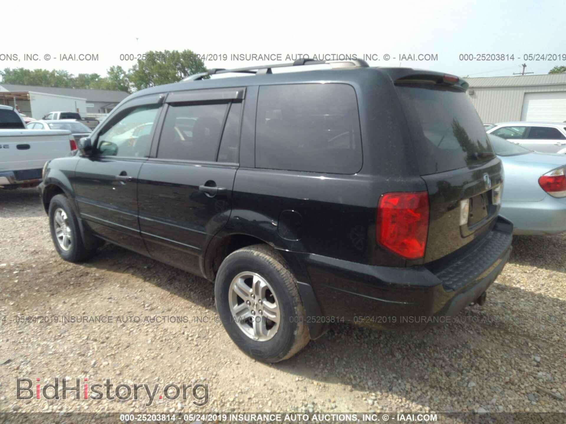2005 HONDA PILOT - VIN: 2HKYF18475H557318 - Фото 3