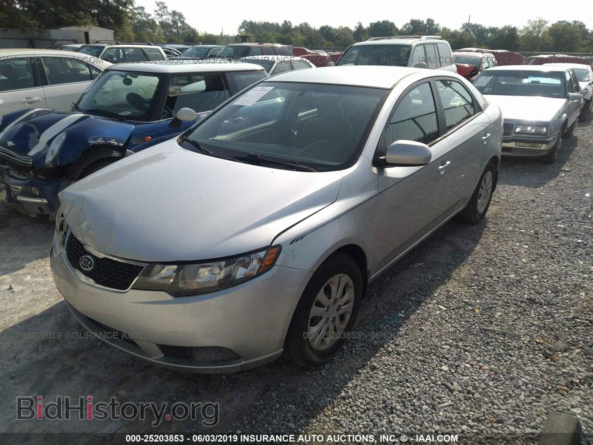 2013 KIA FORTE - VIN: KNAFT4A28D5646272 - Фото 2