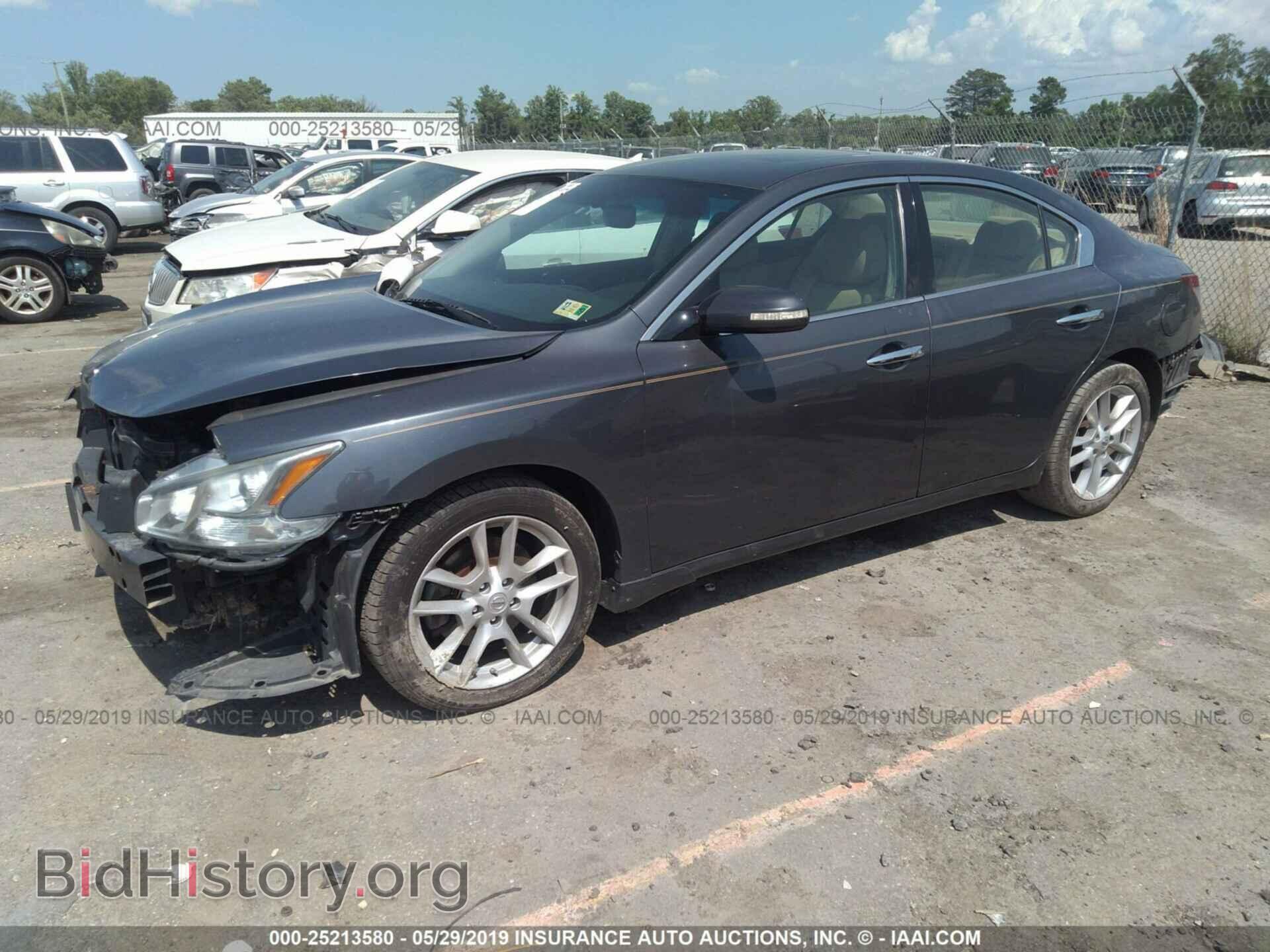 2010 NISSAN MAXIMA - VIN: 1N4AA5AP5AC812541 - Фото 2