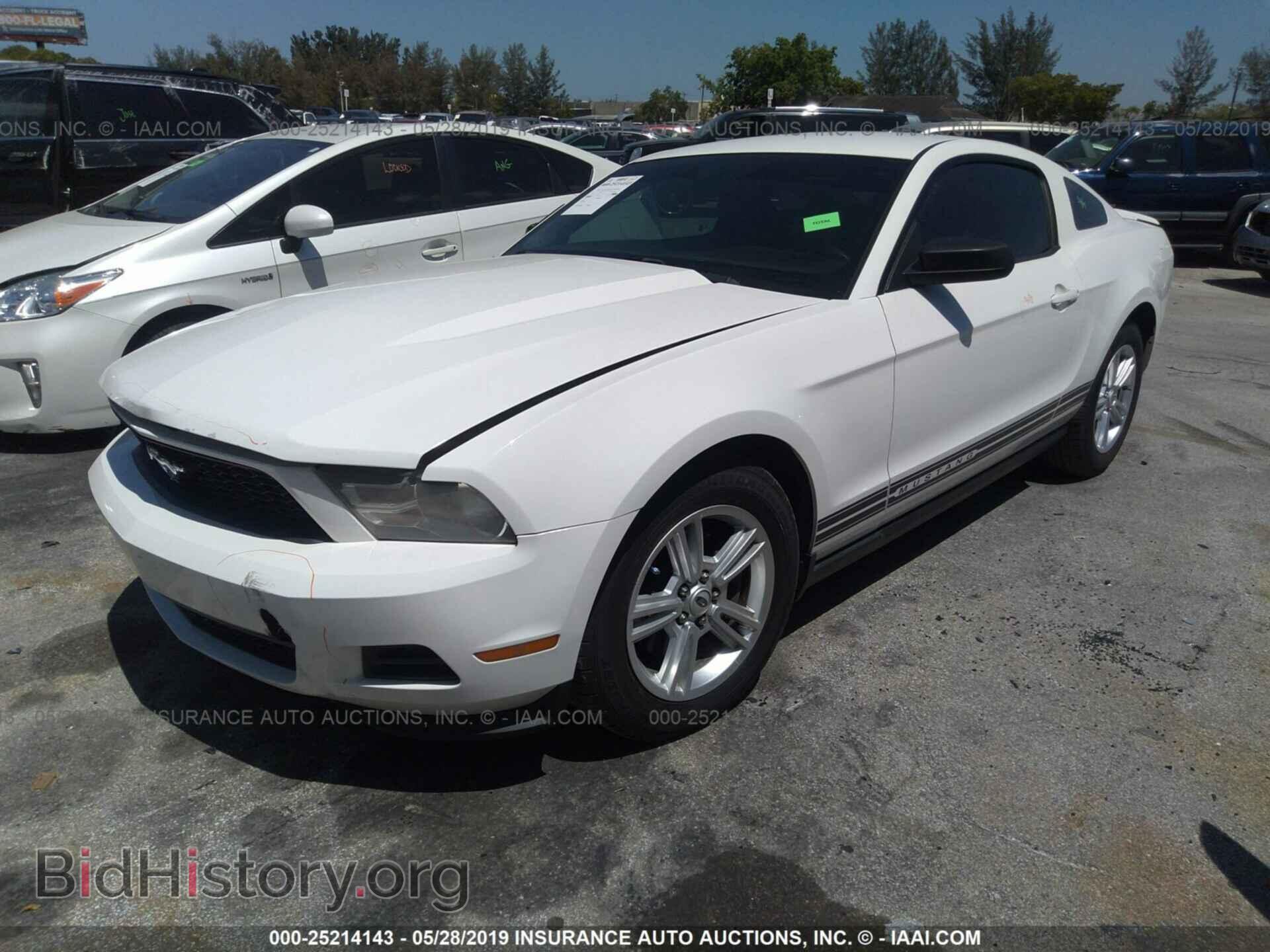 2012 FORD MUSTANG - VIN: 1ZVBP8AM1C5244670 - Фото 2