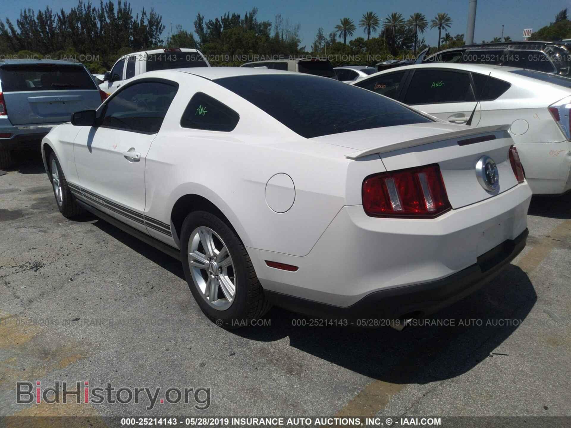 2012 FORD MUSTANG - VIN: 1ZVBP8AM1C5244670 - Фото 3