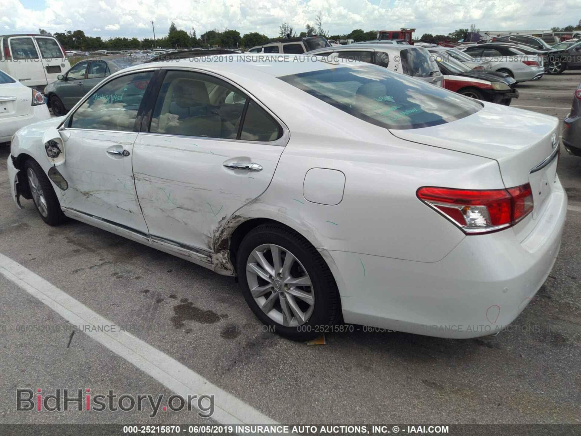 2011 LEXUS ES - VIN: JTHBK1EG5B2442129 - Фото 3