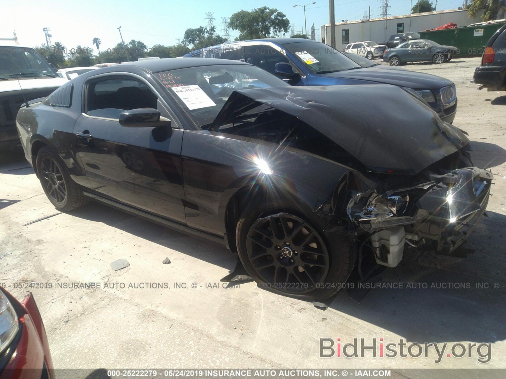 Photo 1ZVBP8AM2E5303437 - FORD MUSTANG 2014