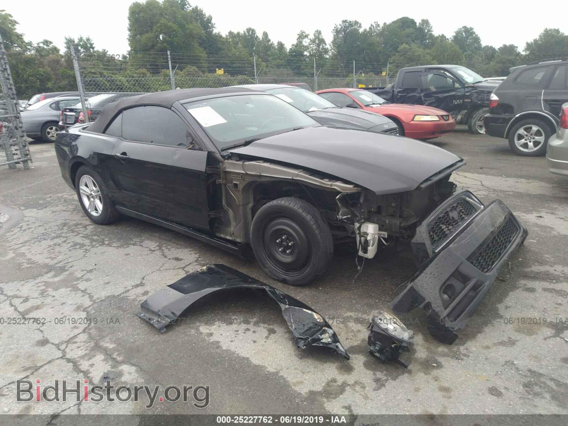 Фотография 1ZVBP8EM4E5238553 - FORD MUSTANG 2014