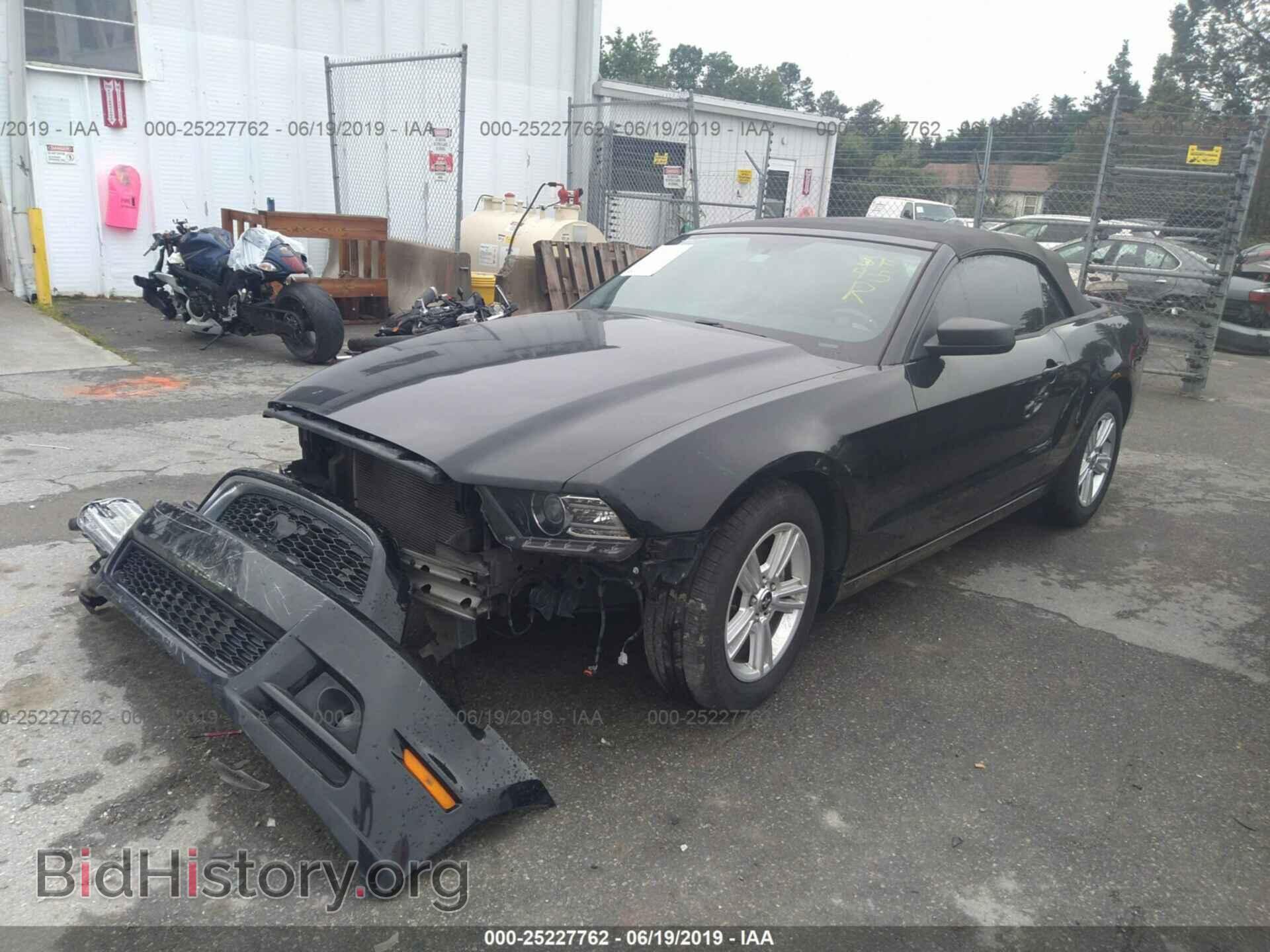 2014 FORD MUSTANG - VIN: 1ZVBP8EM4E5238553 - Фото 2