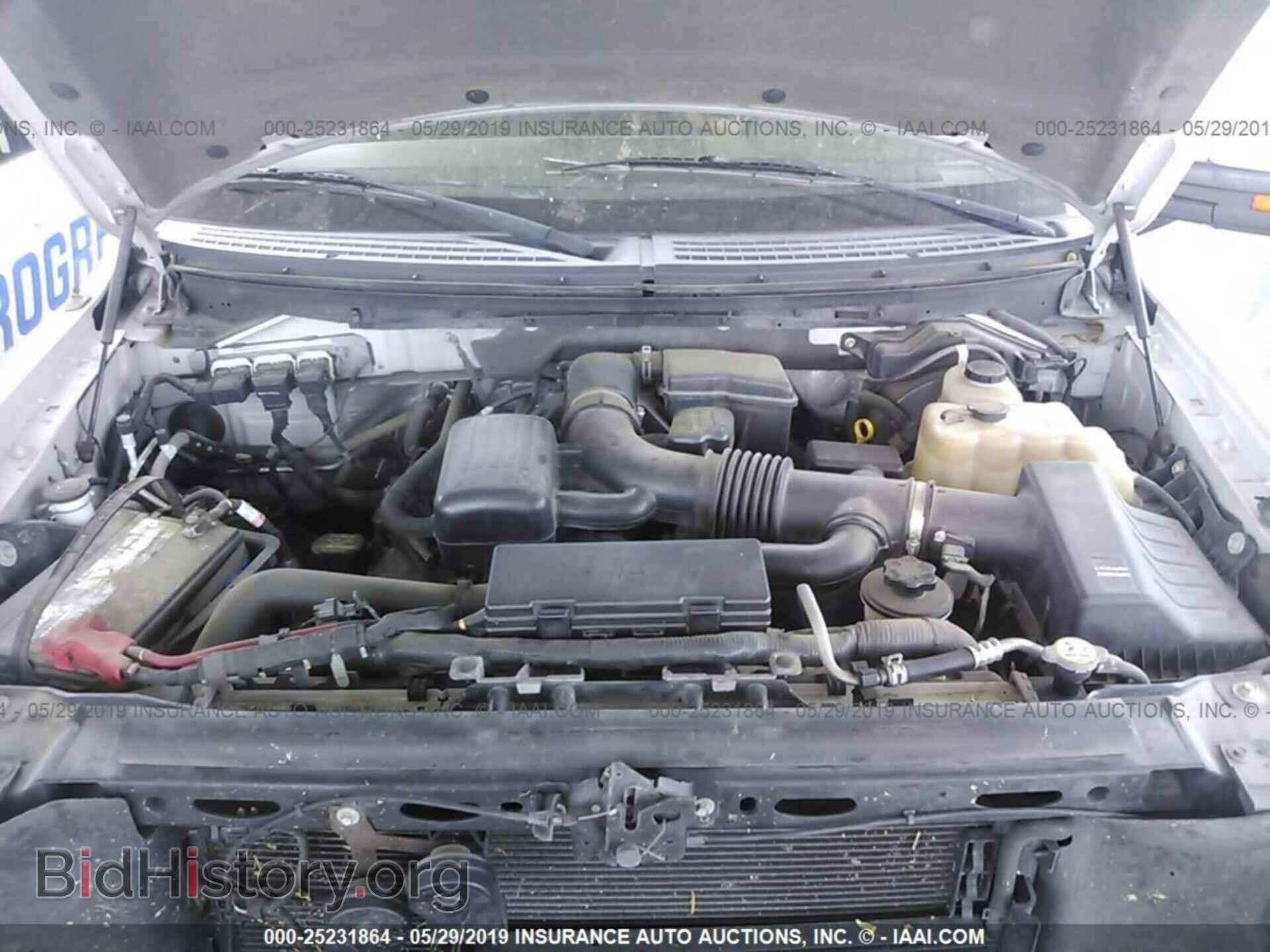 2010 FORD F150 - VIN: 1FTFW1EV9AFD54763 - Фото 10