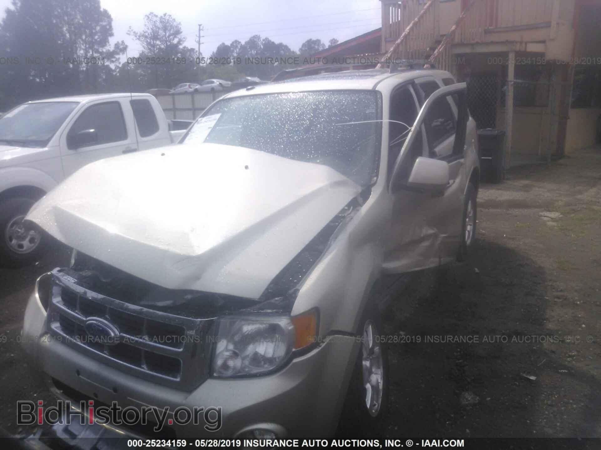 2011 FORD ESCAPE - VIN: 1FMCU9EG1BKB65229 - Фото 2