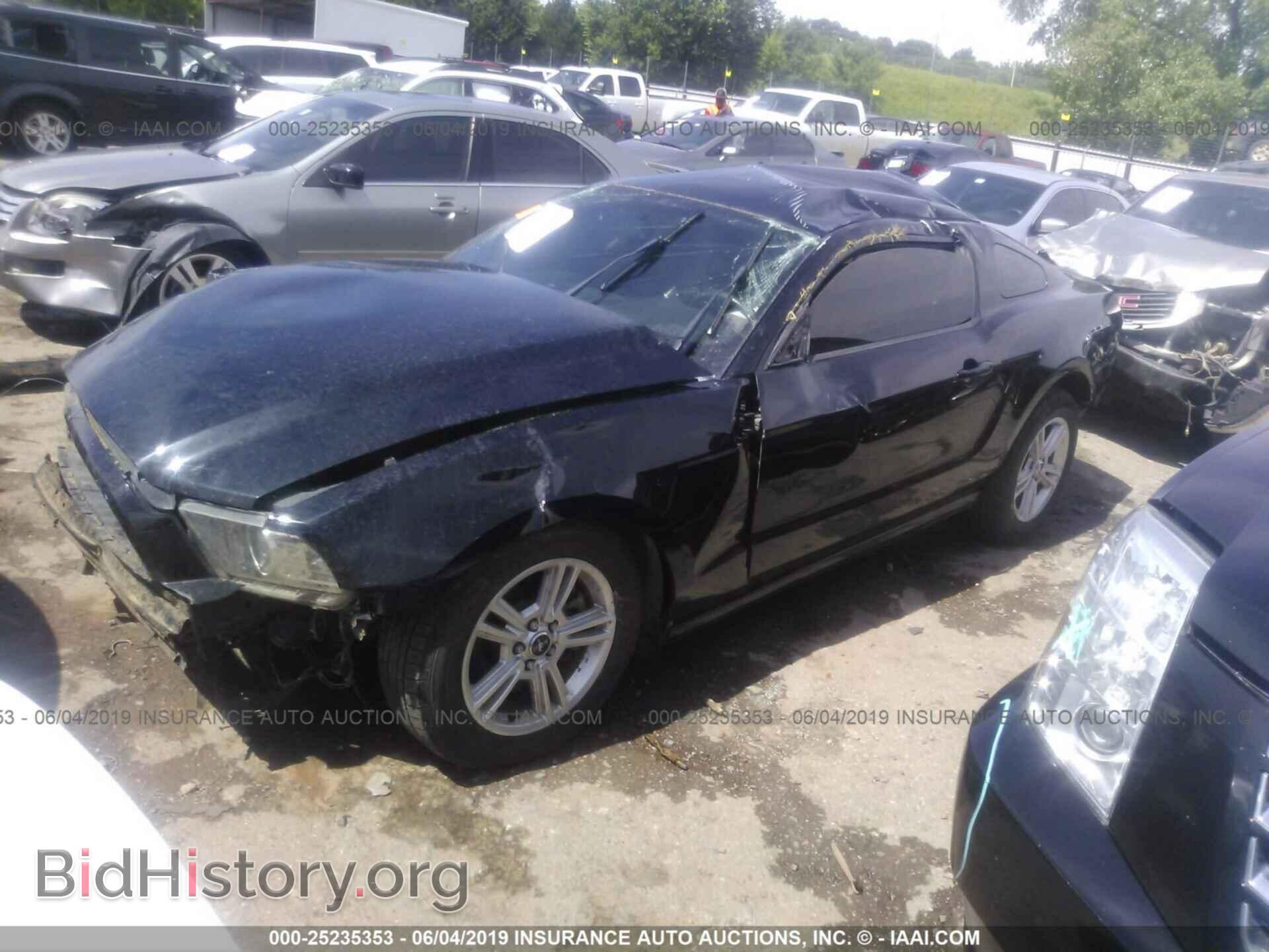 2013 FORD MUSTANG - VIN: 1ZVBP8AM9D5232123 - Фото 2