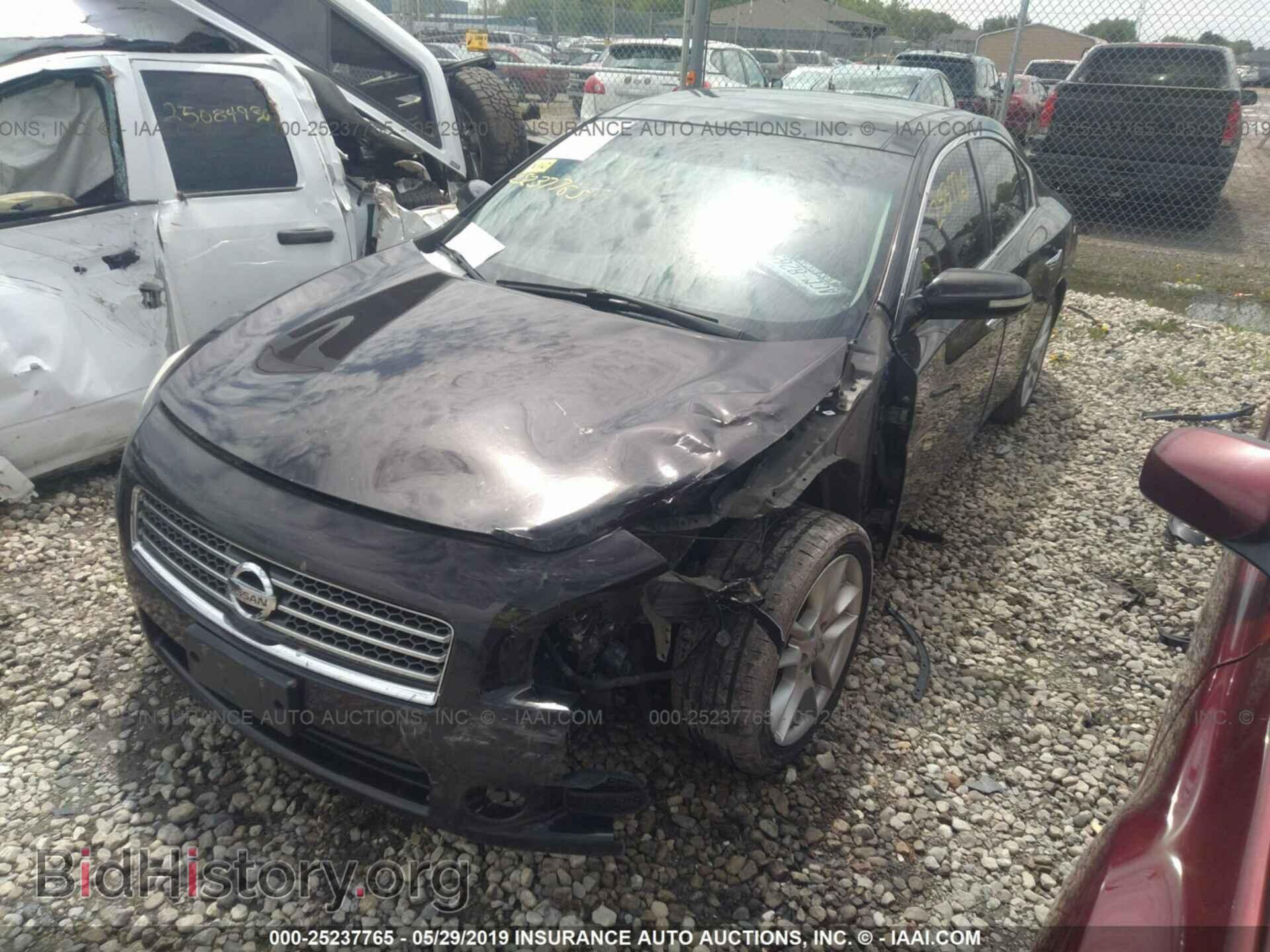2010 NISSAN MAXIMA - VIN: 1N4AA5AP9AC802238 - Фото 2