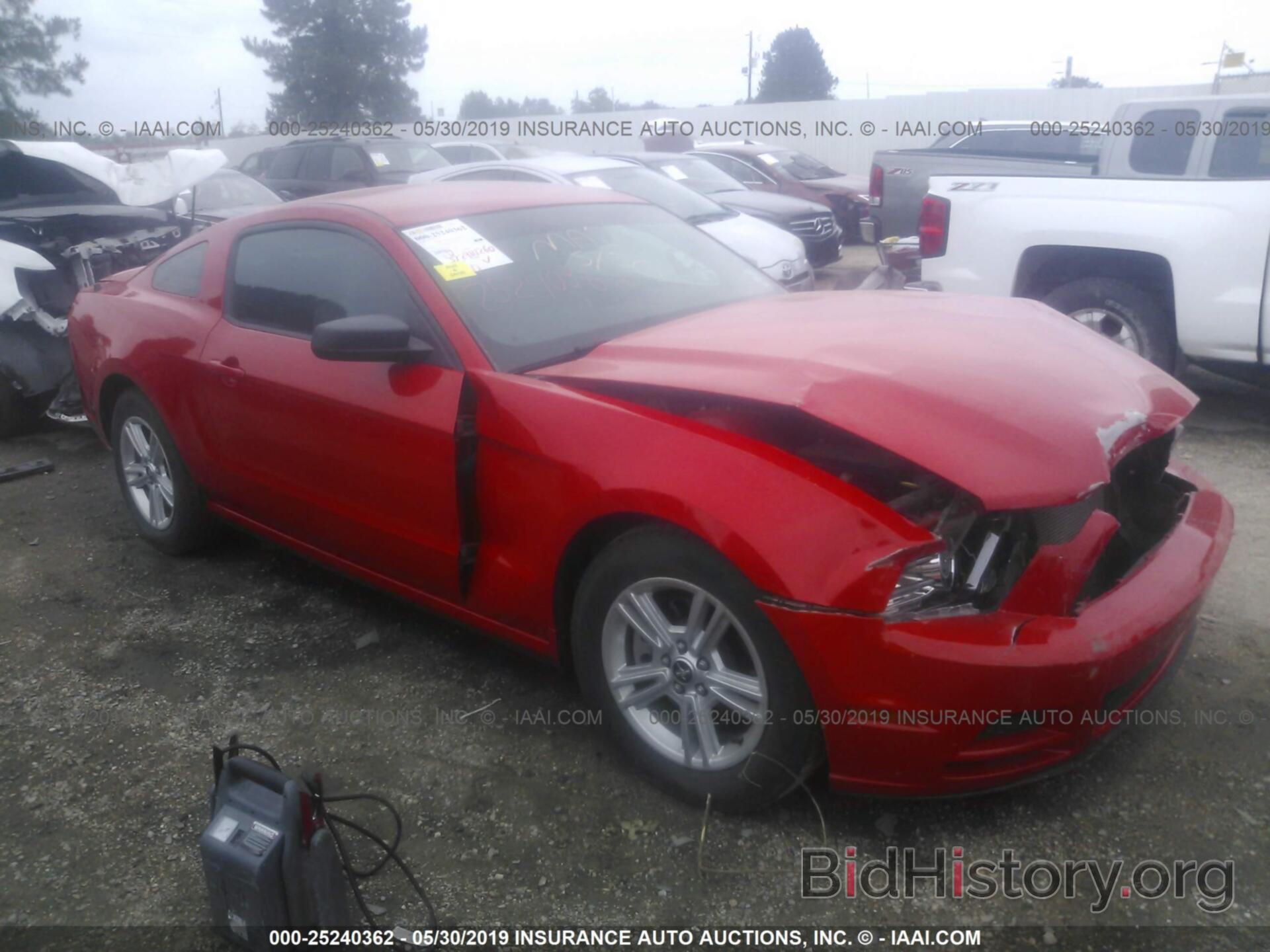 Photo 1ZVBP8AM8D5220478 - FORD MUSTANG 2013
